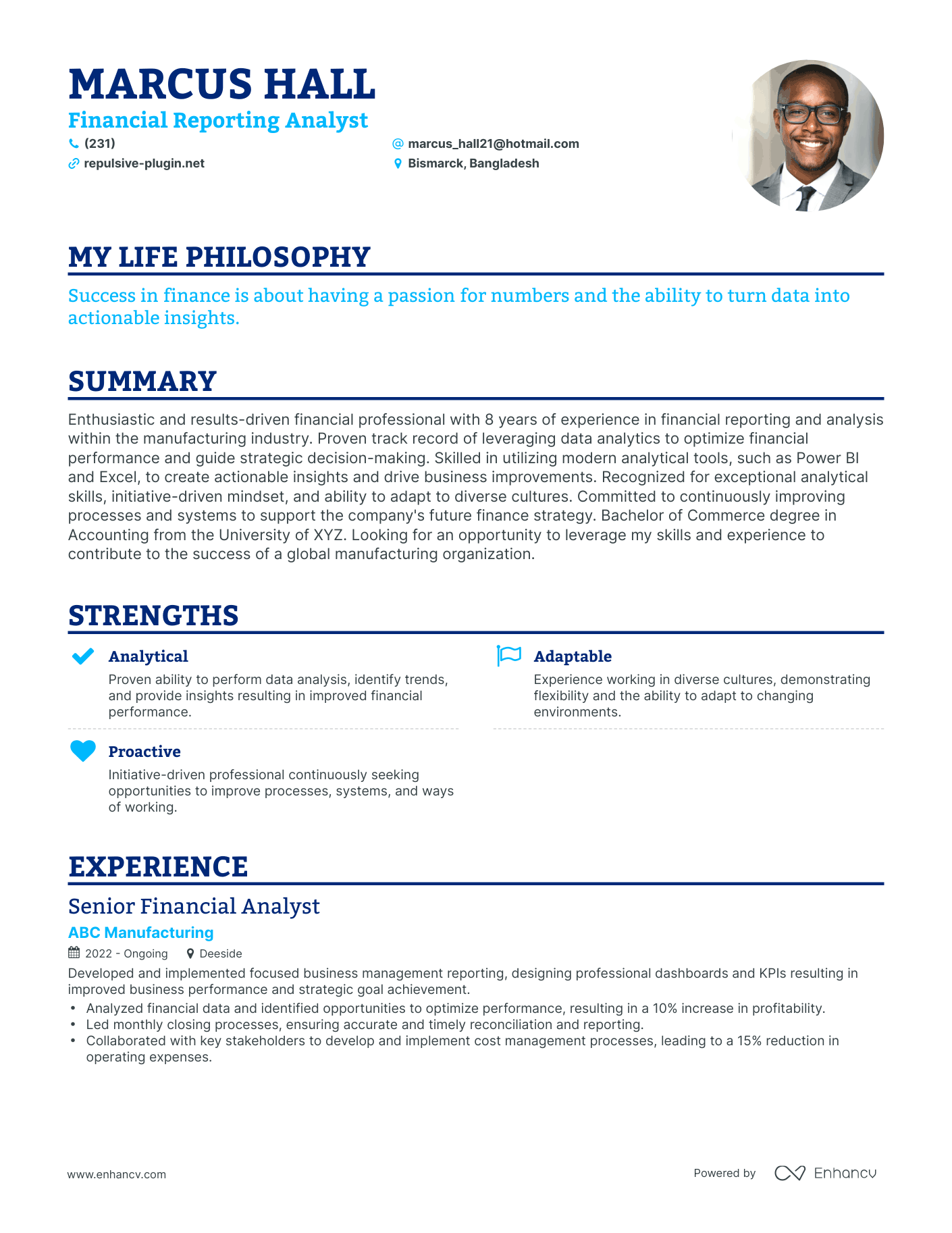Creative Financial Reporting Analyst Resume Example