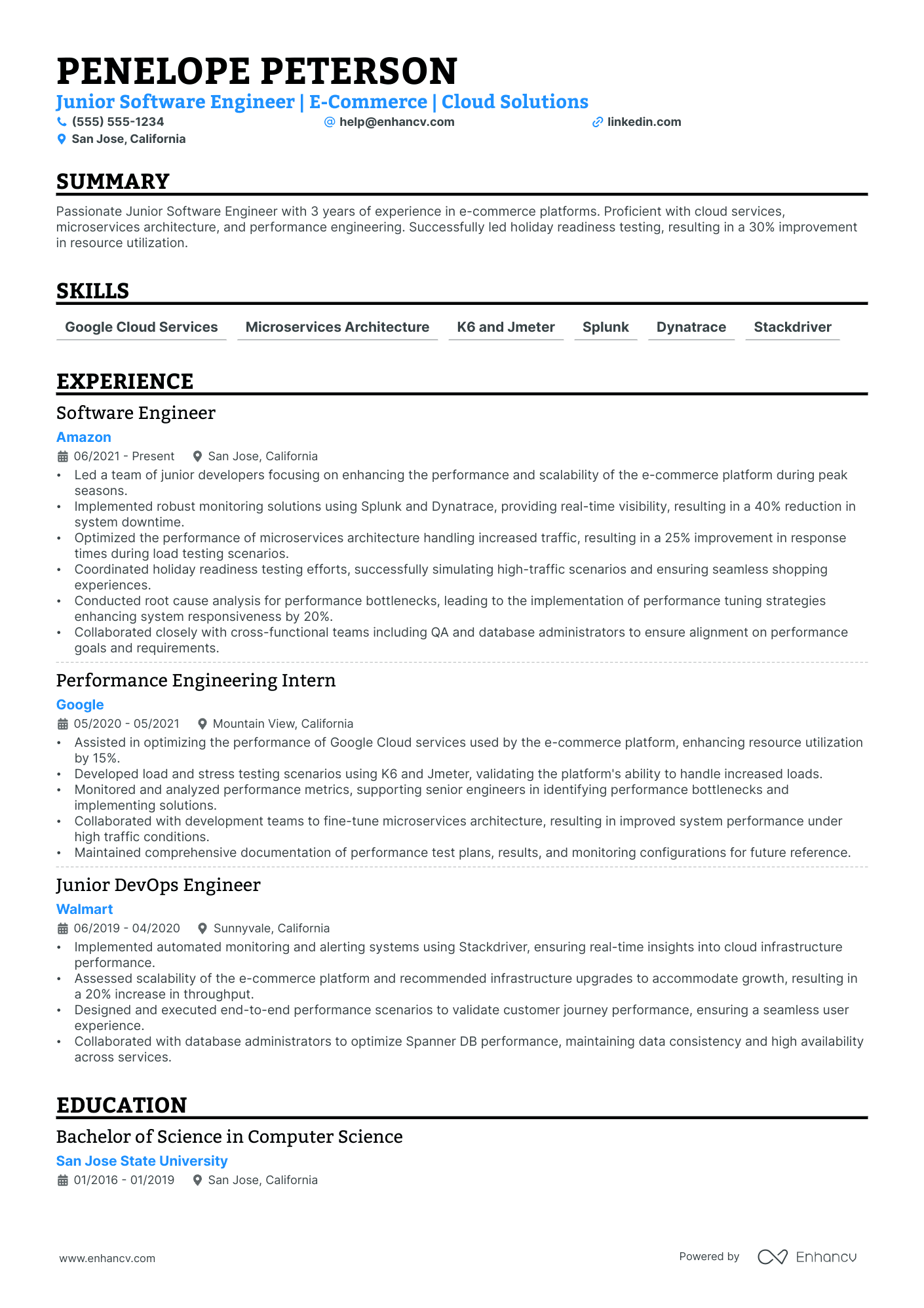 Performance Test Engineer resume example