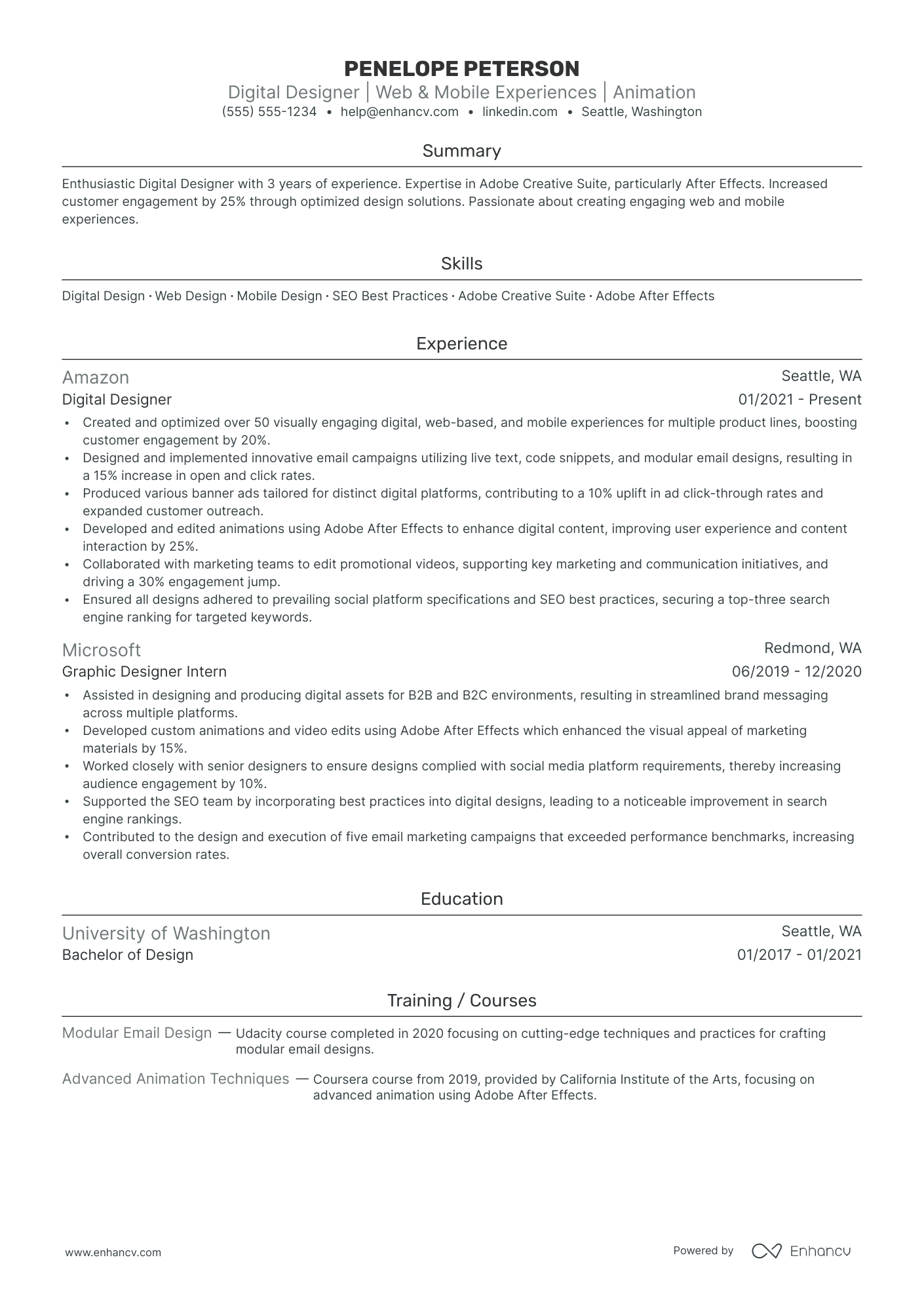 Digital Artist resume example