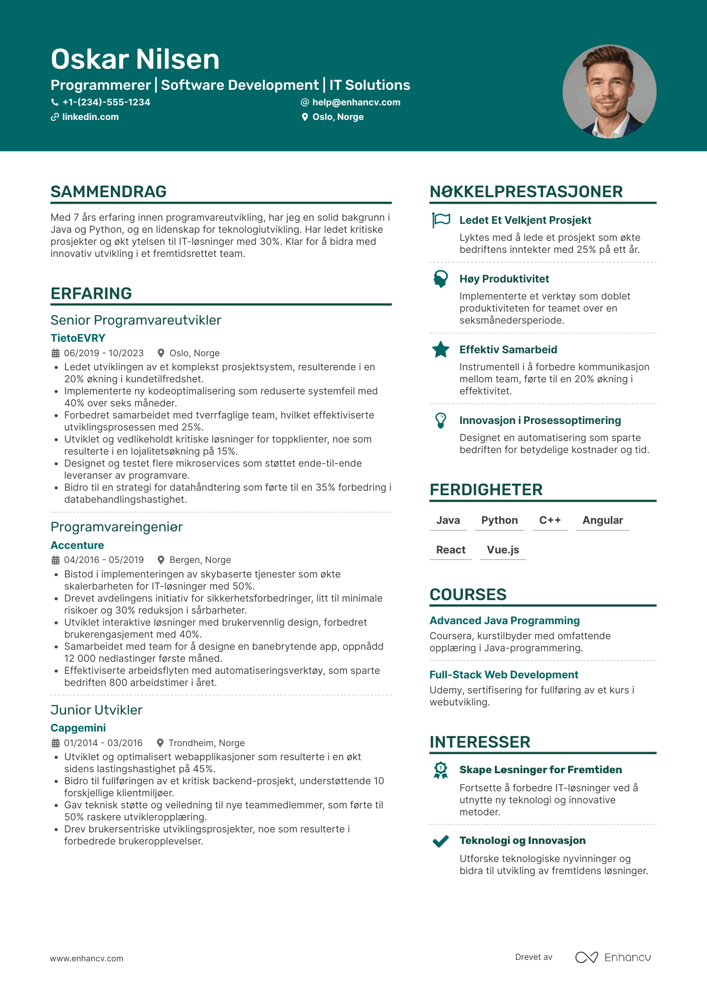 Programmerer CV