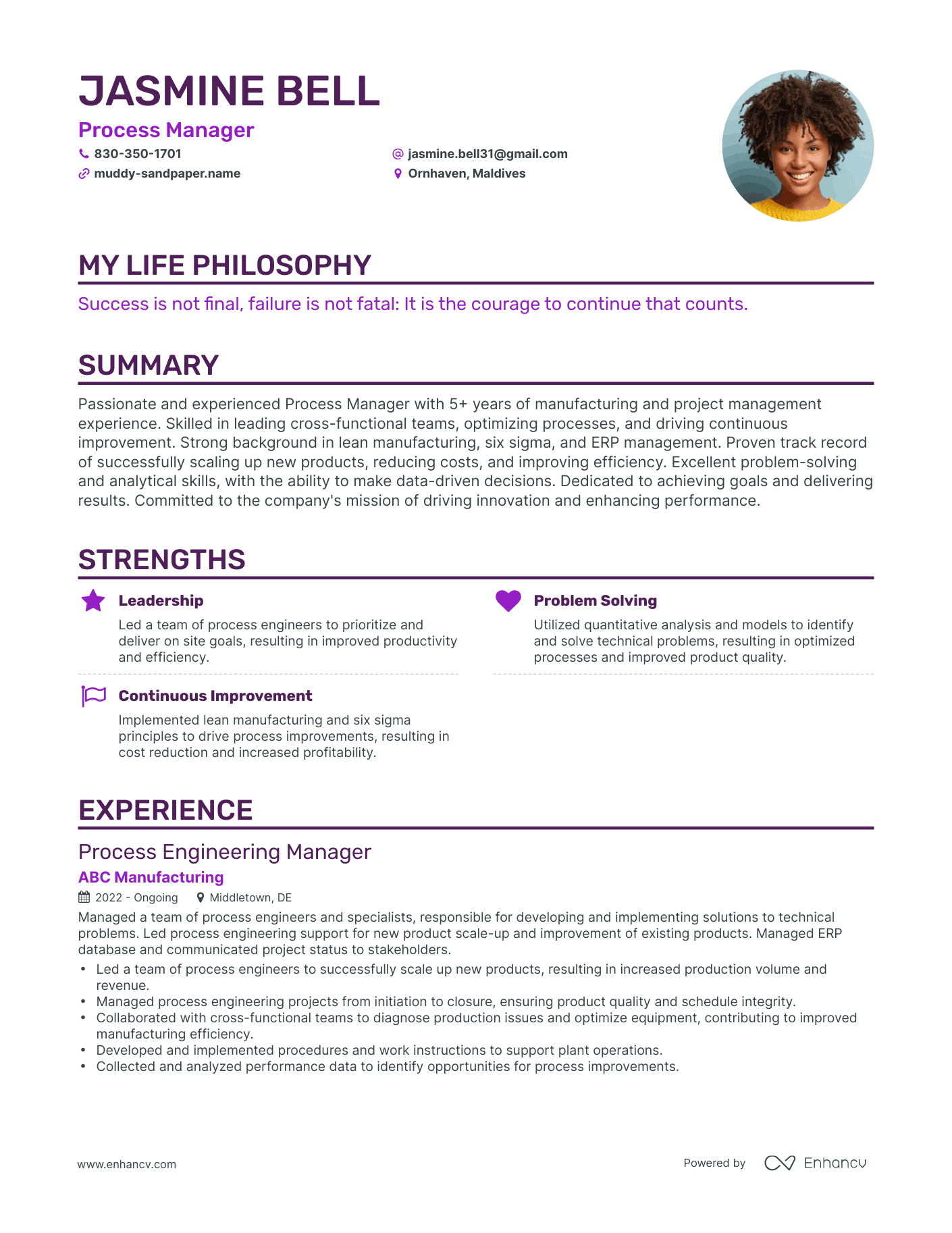Creative Process Manager Resume Example
