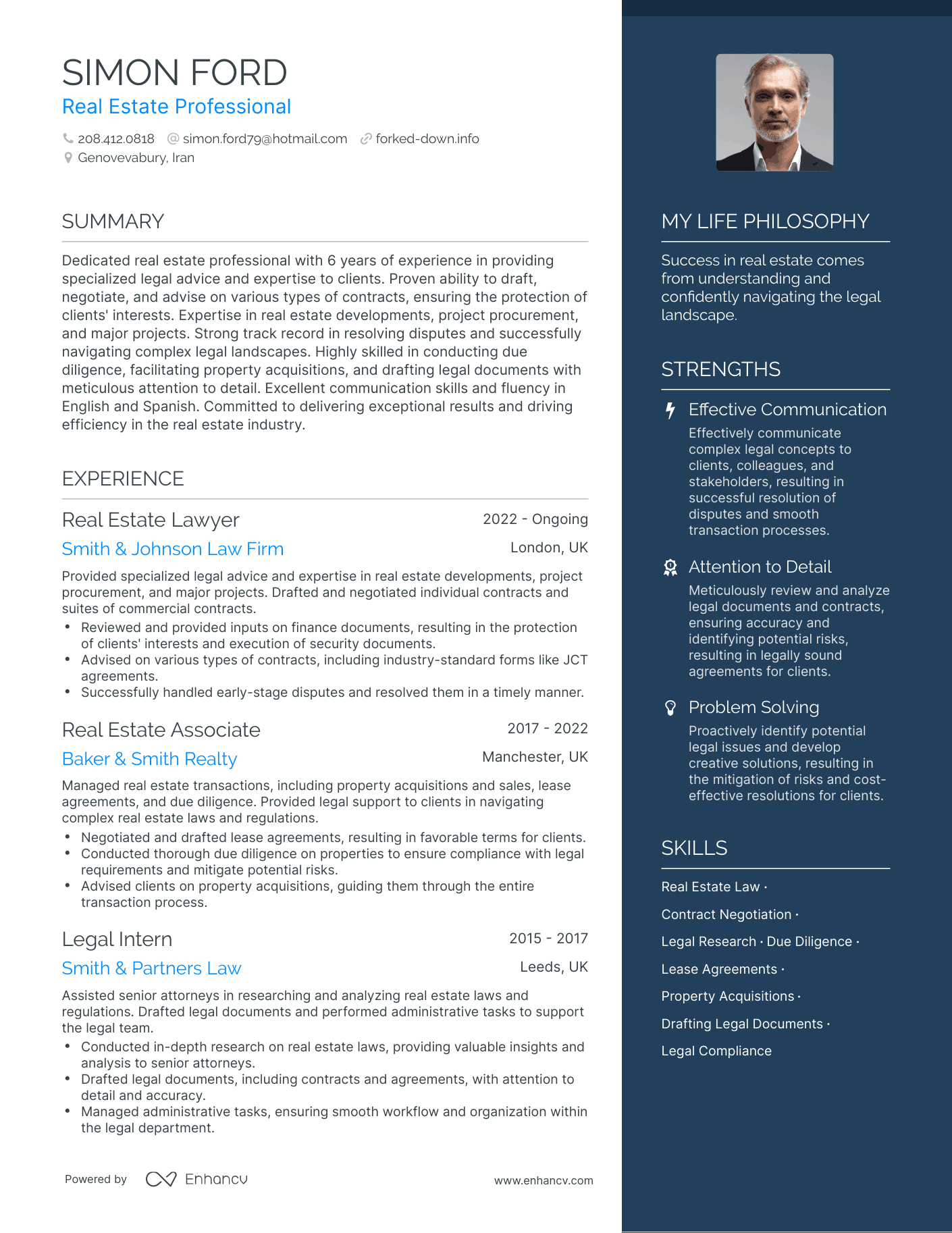 Real Estate Professional resume example