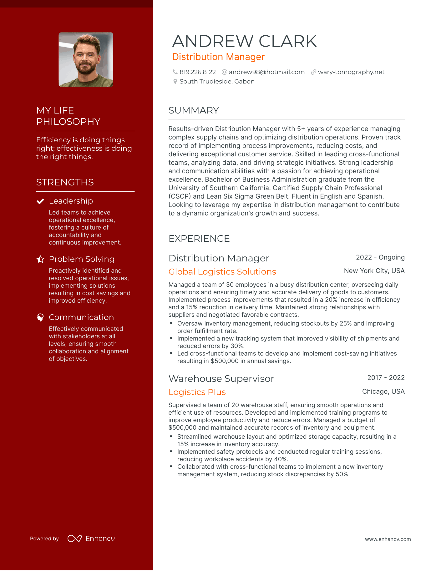 Distribution Manager resume example