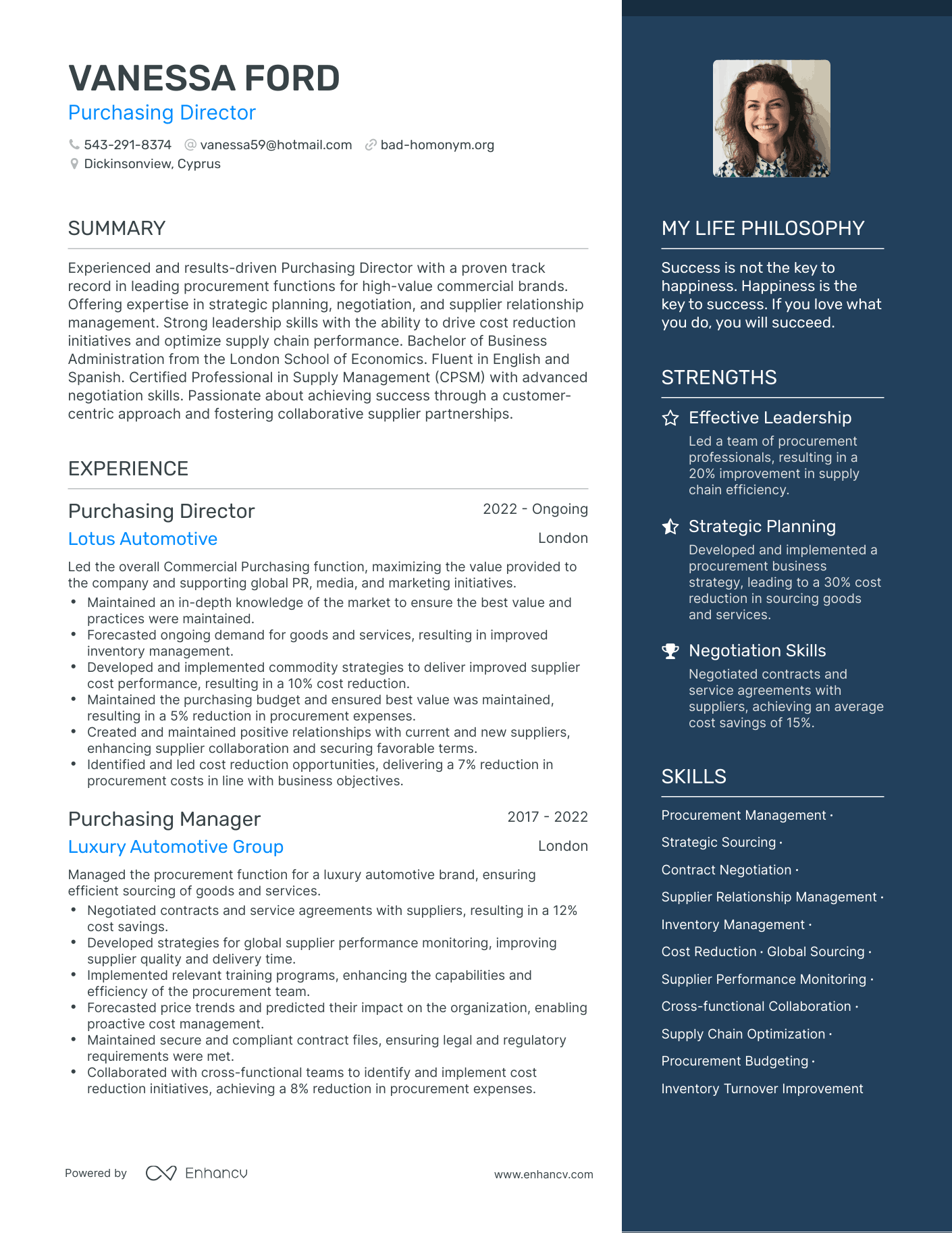Modern Purchasing Director Resume Example