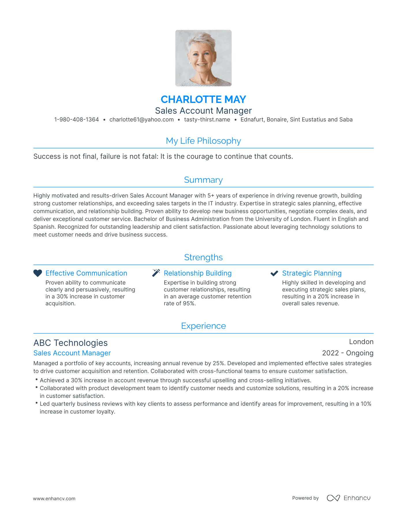 Modern Sales Account Manager Resume Example