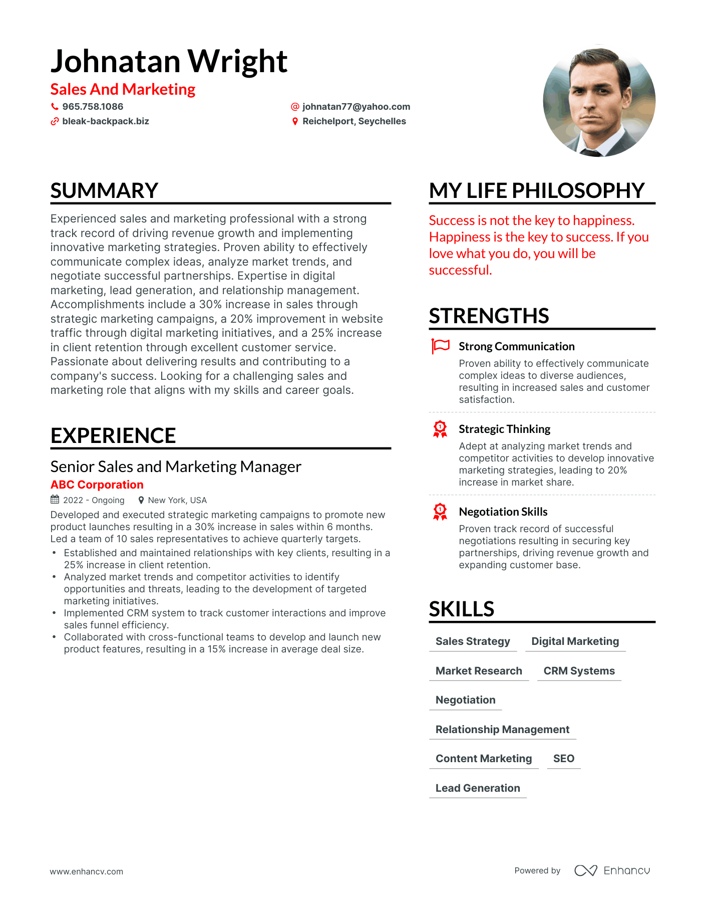 Modern Sales And Marketing Resume Example