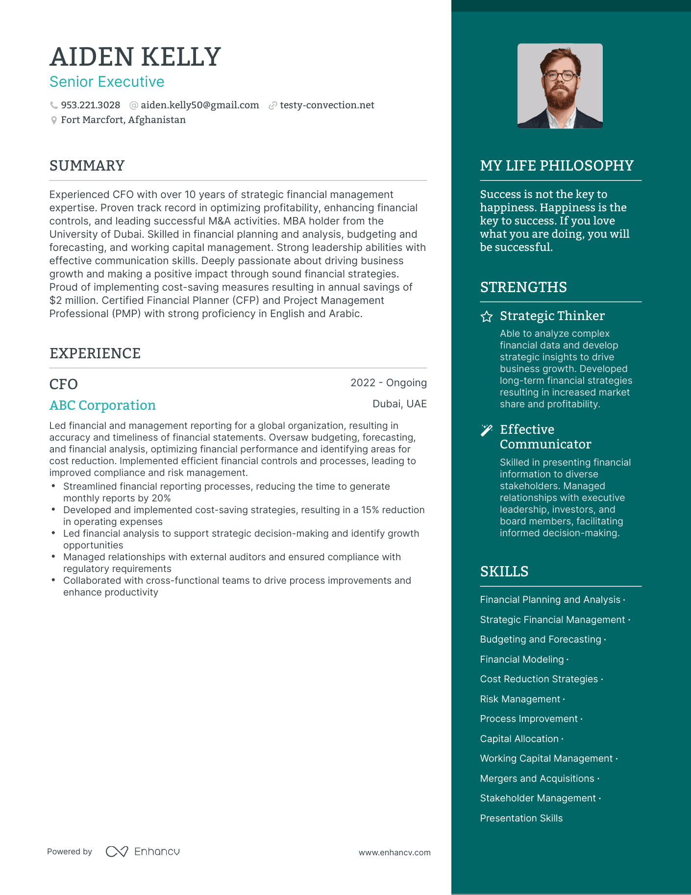 Senior Executive resume example