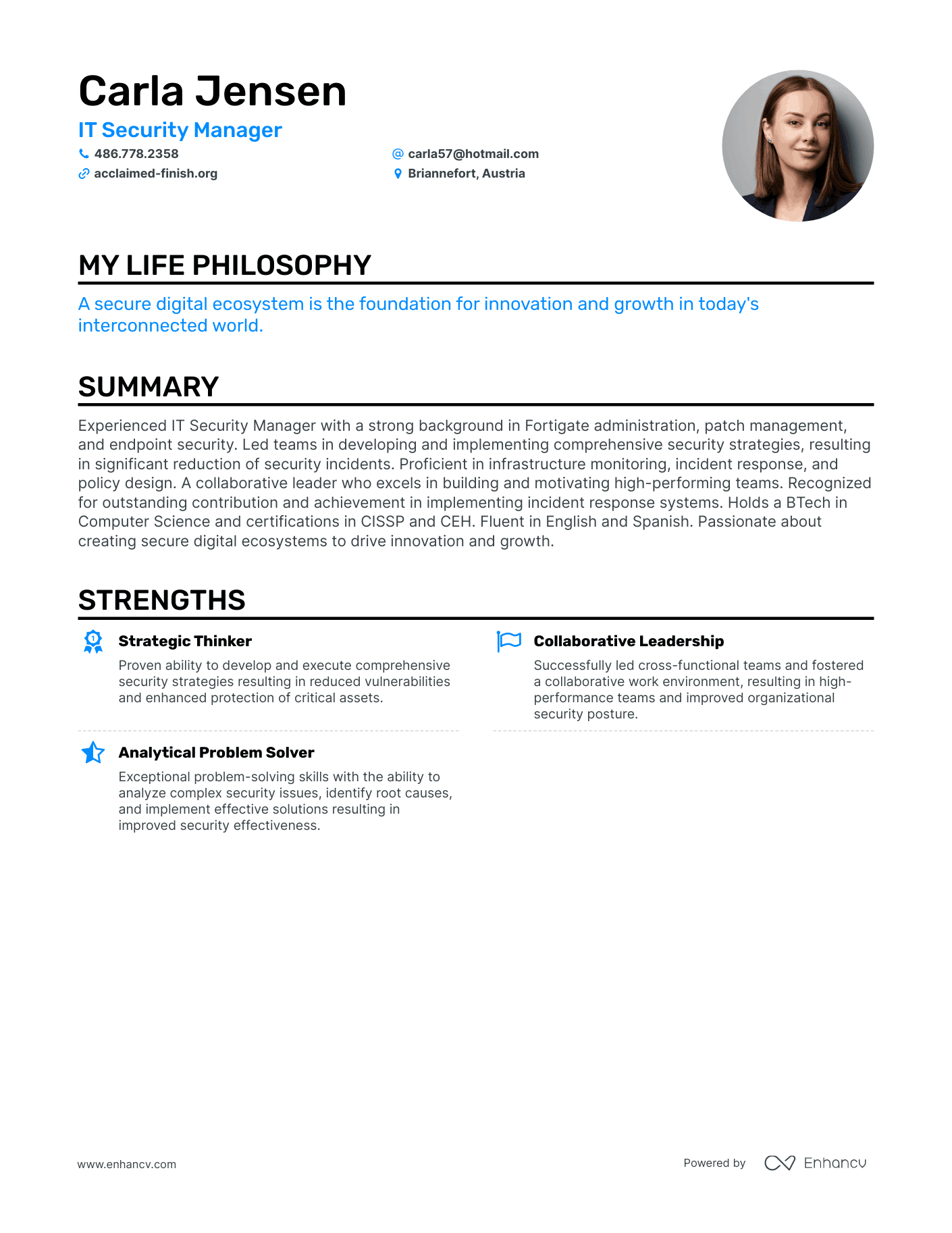 Creative IT Security Manager Resume Example