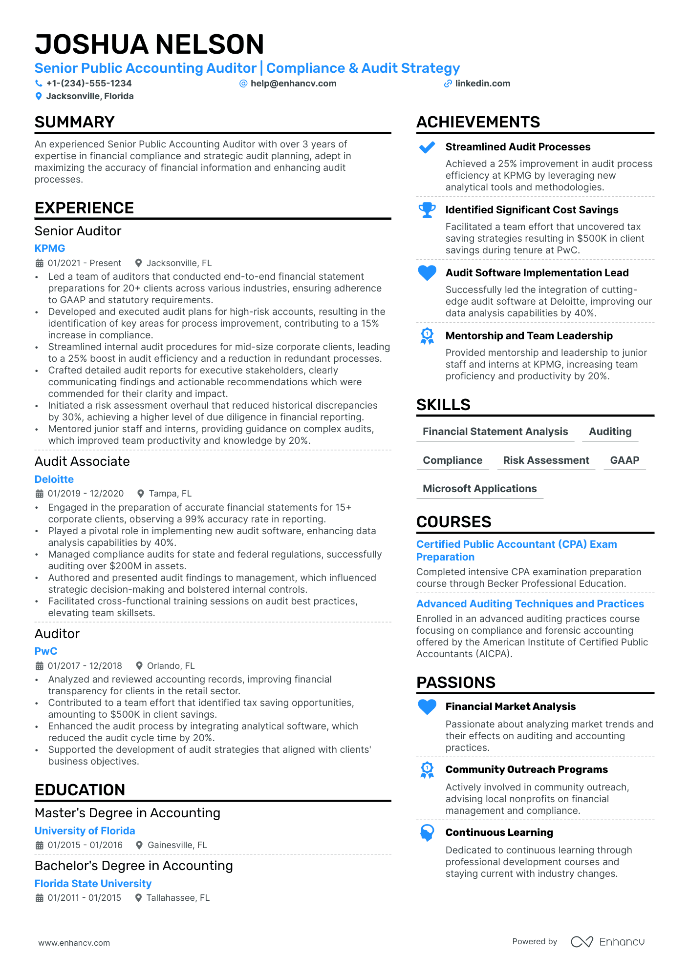 Public Accounting Auditor resume example