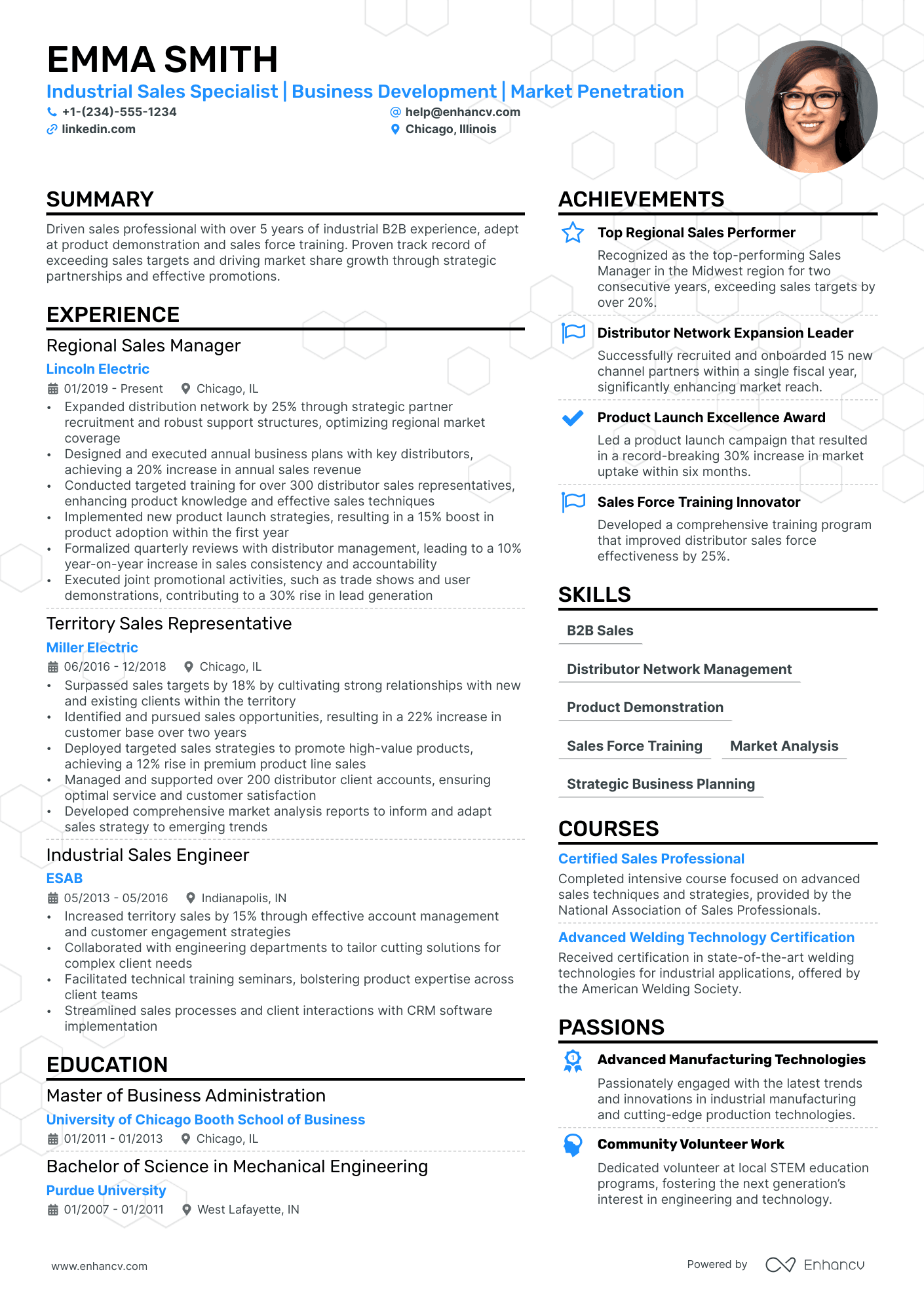 Distribution Sales Manager resume example