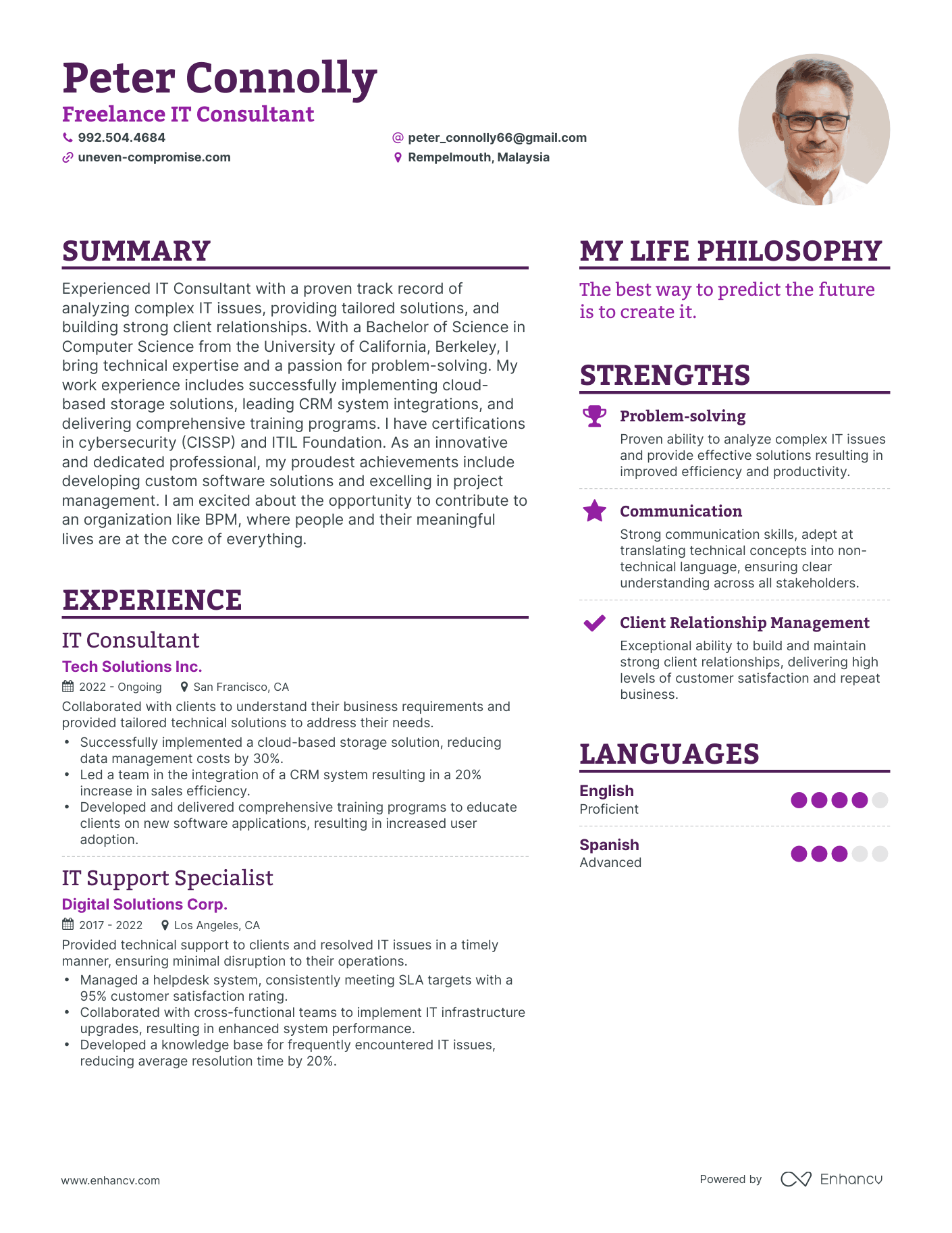 Freelance IT Consultant resume example