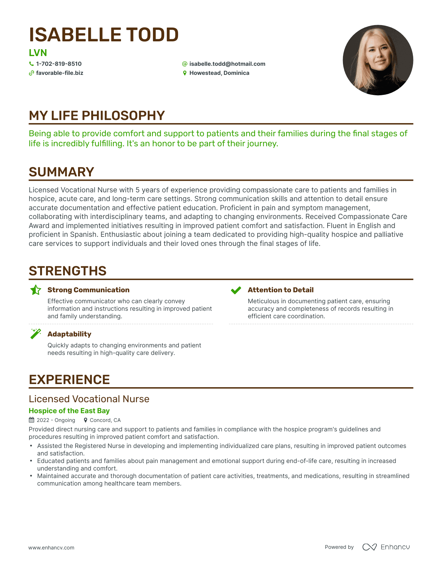 Creative LVN Resume Example
