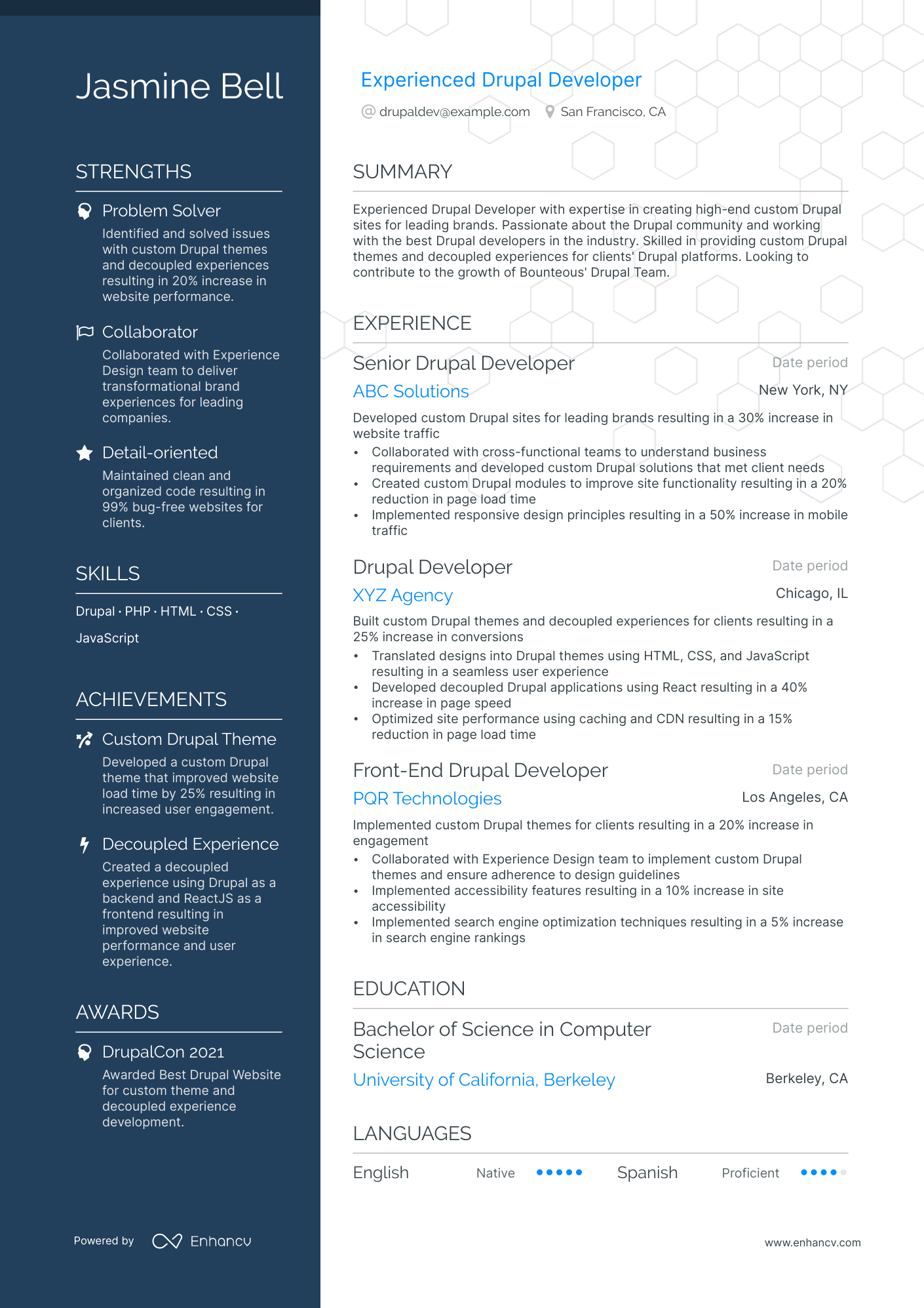 drupal developer resume example