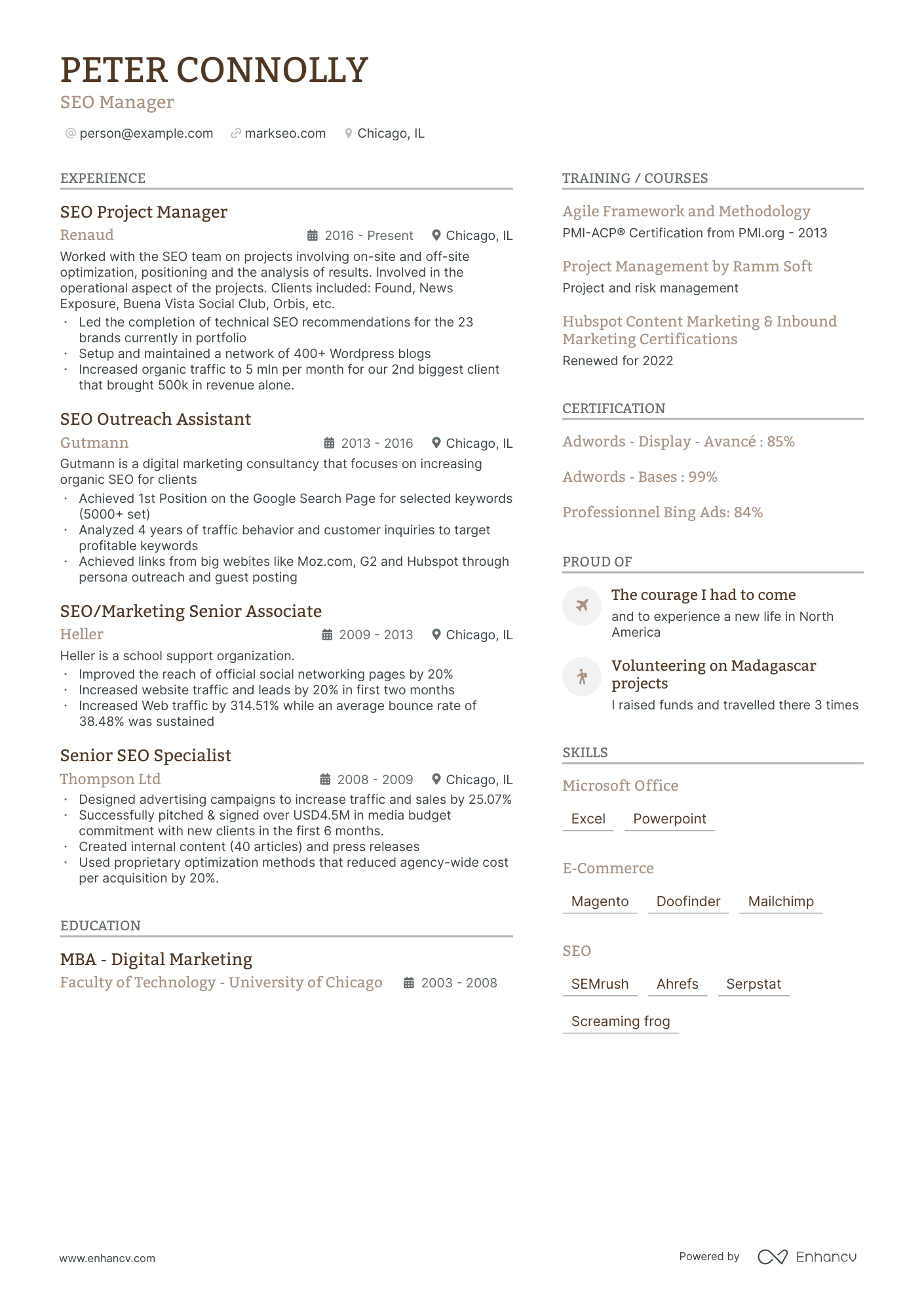 SEO Manager resume example