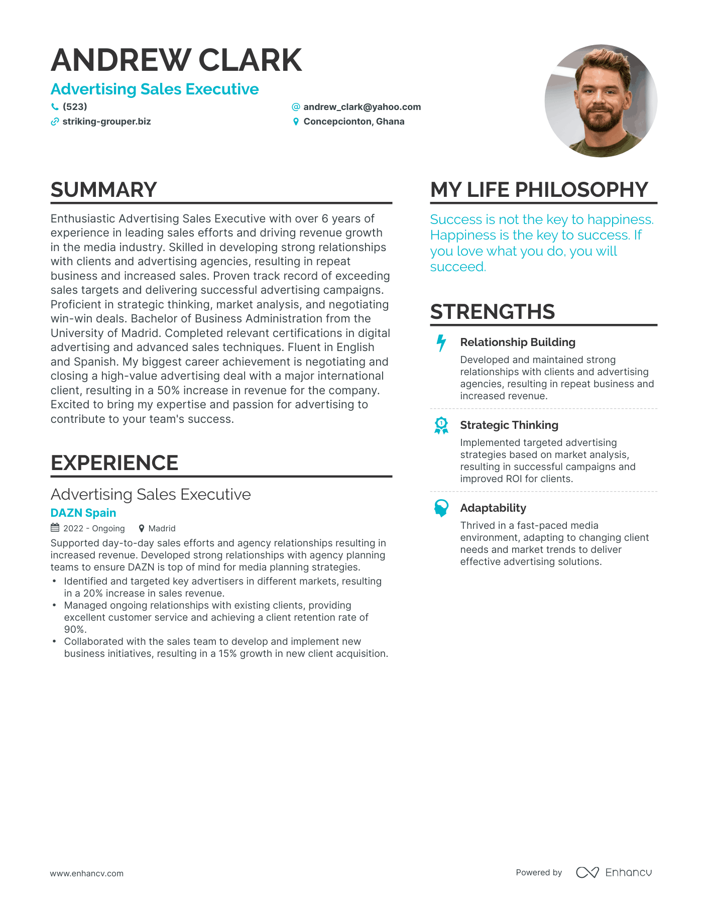 Advertising Sales Executive resume example