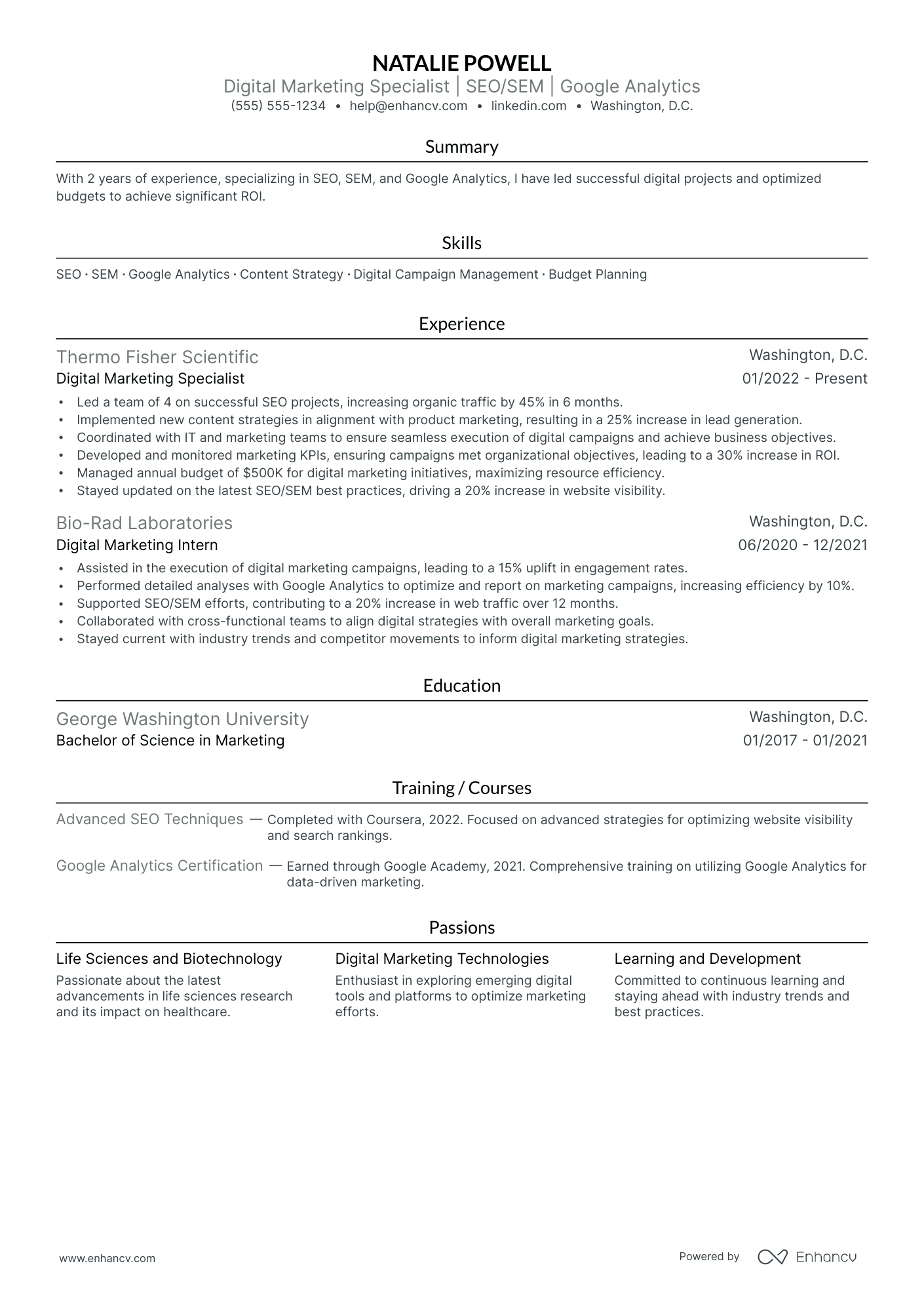 Digital Marketing Director resume example