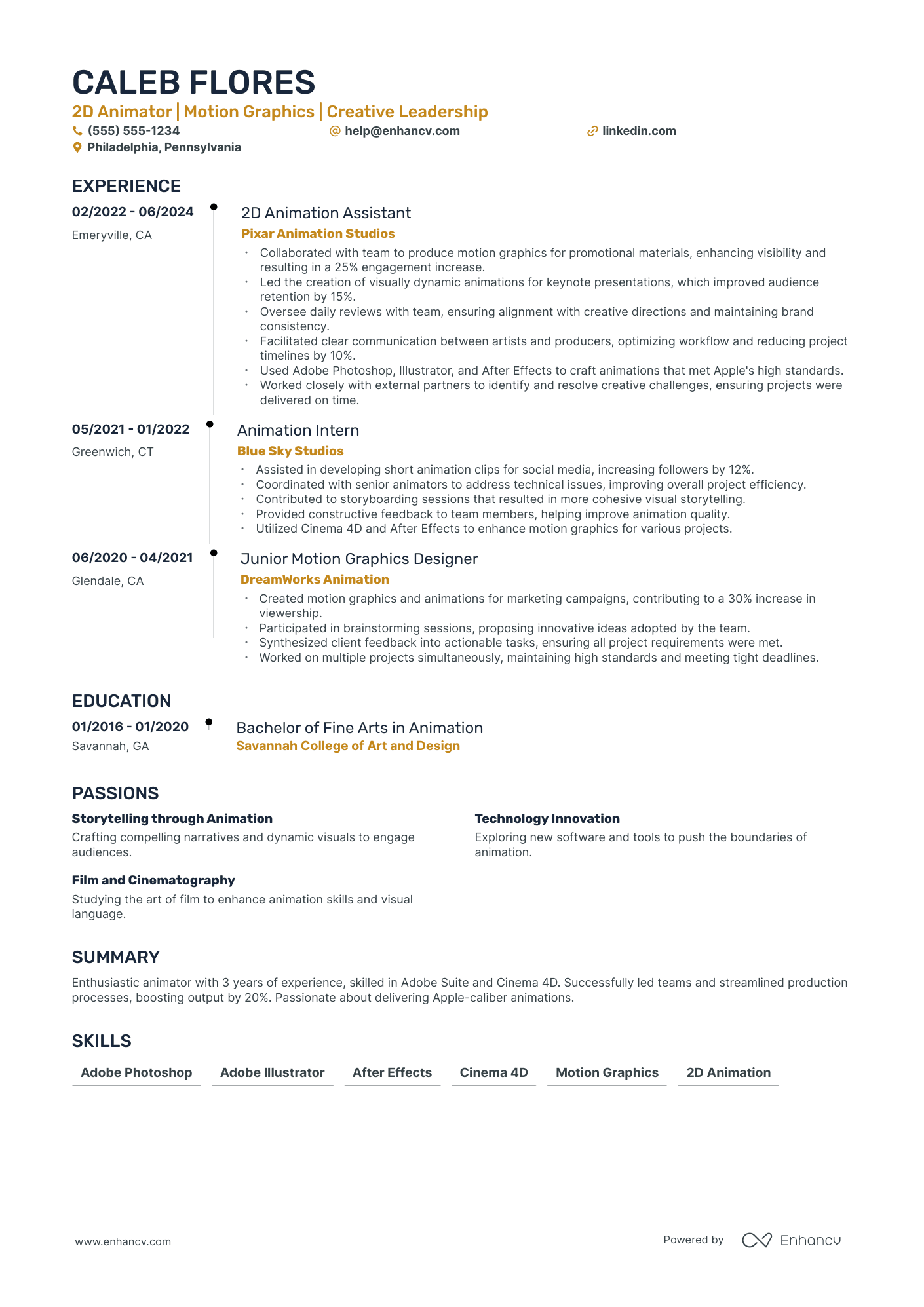 2D Animator resume example