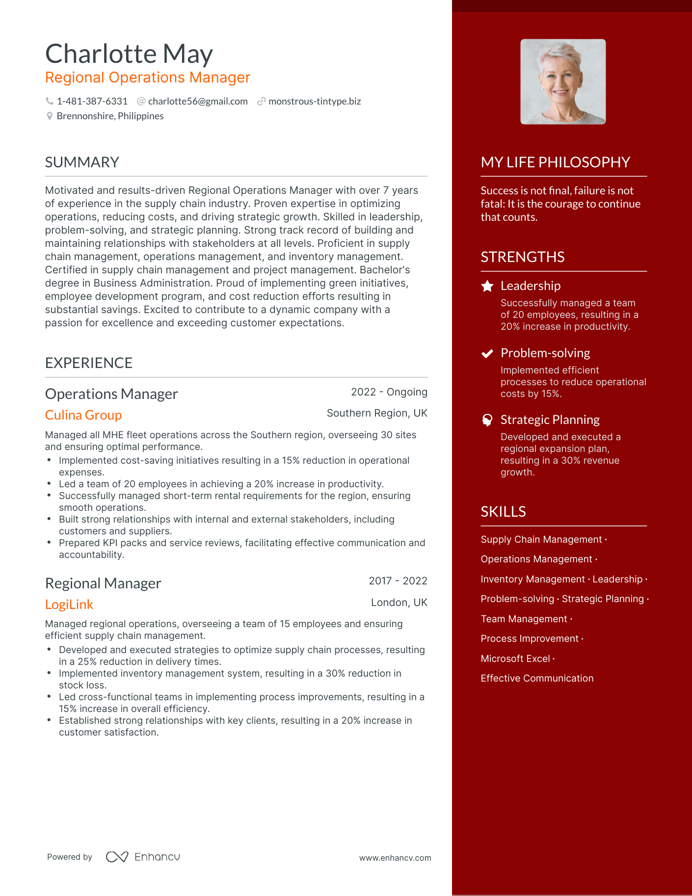 Modern Regional Operations Manager Resume Example