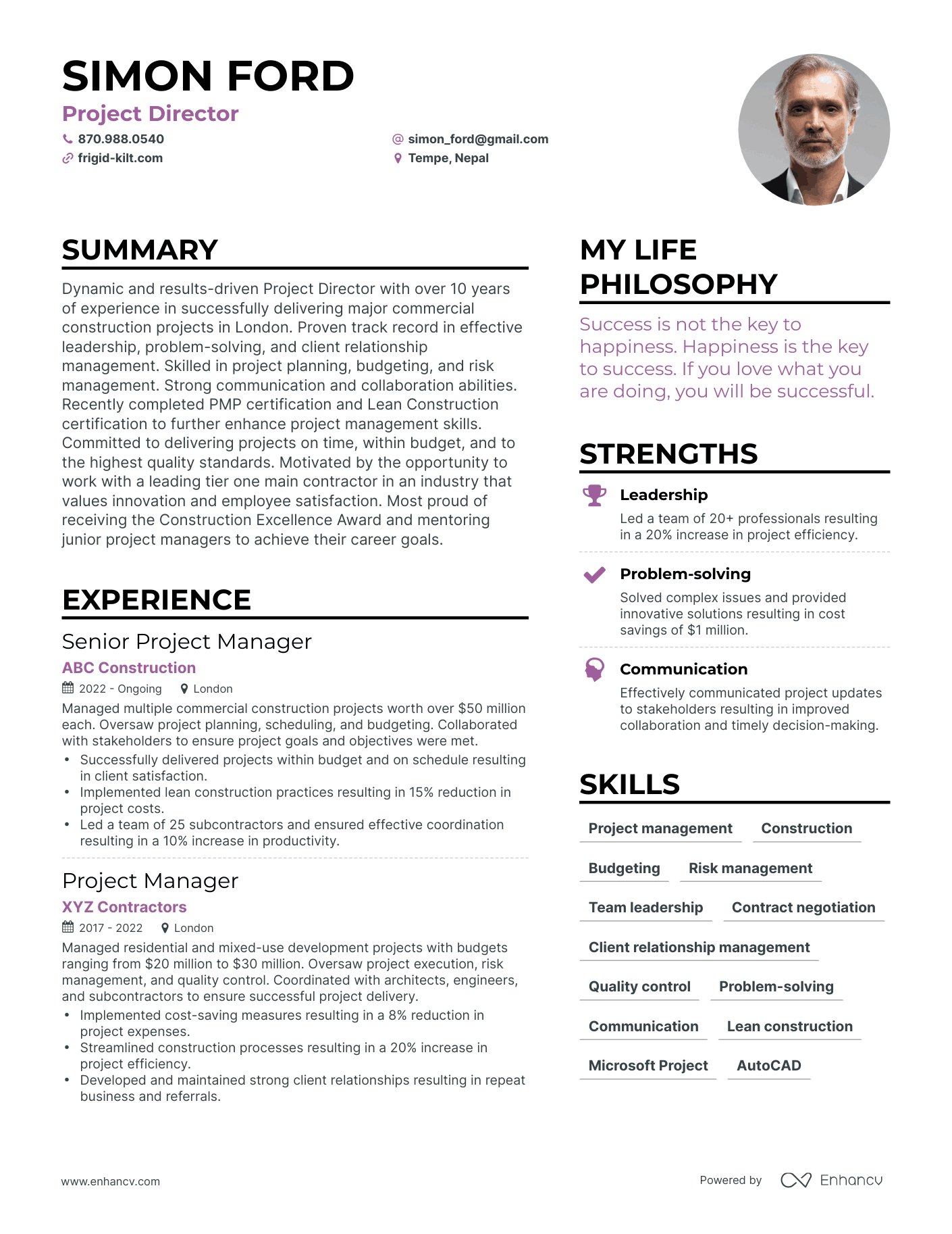 Project Director resume example