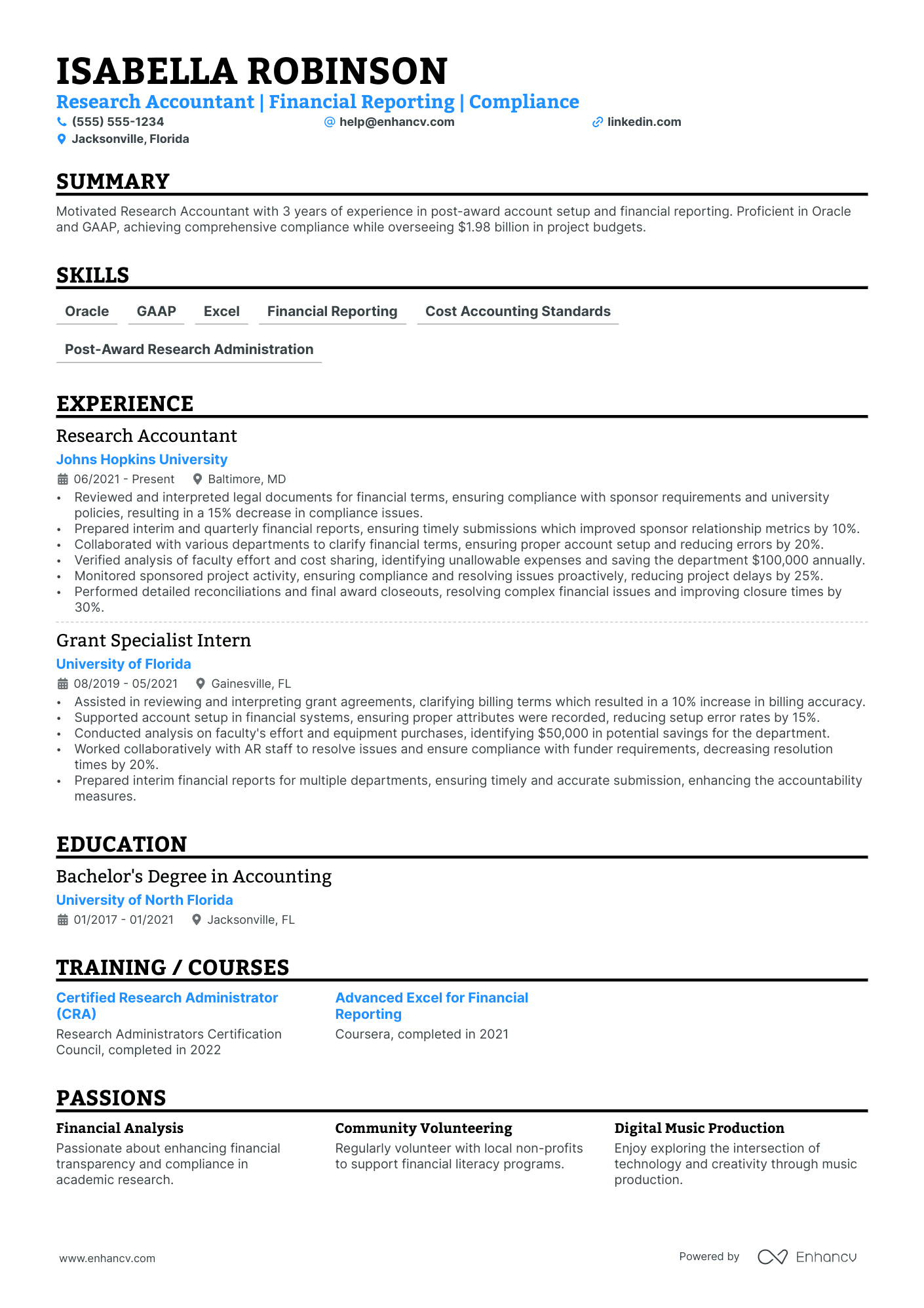 Public Accountant resume example