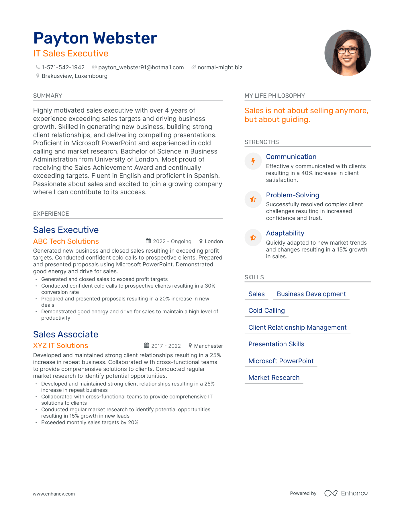 IT Sales Executive resume example