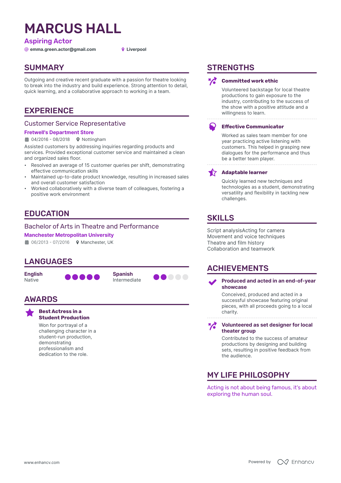 Business Intelligence Analyst [Former Project Manager] CV example