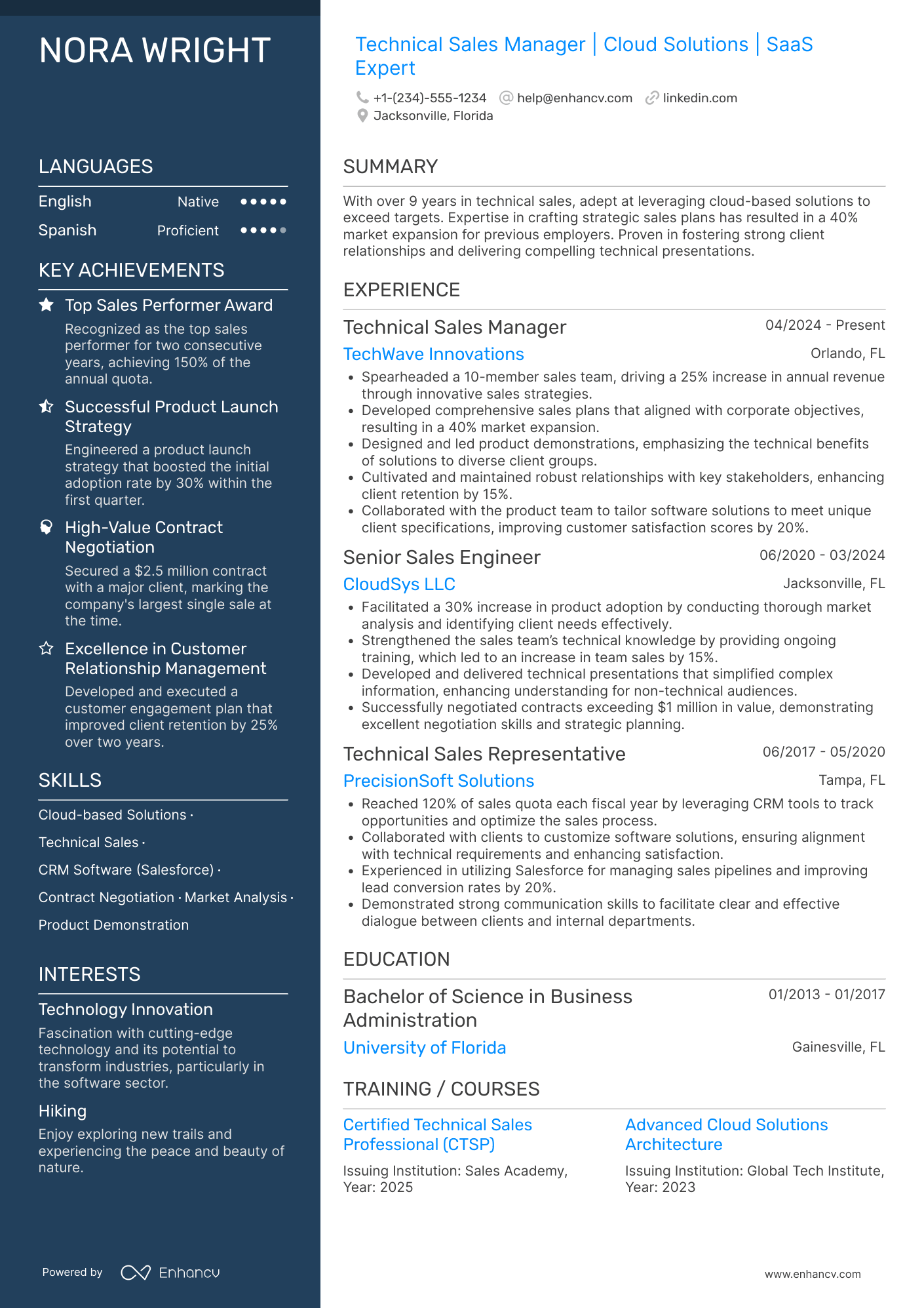 Technical Sales Manager resume example