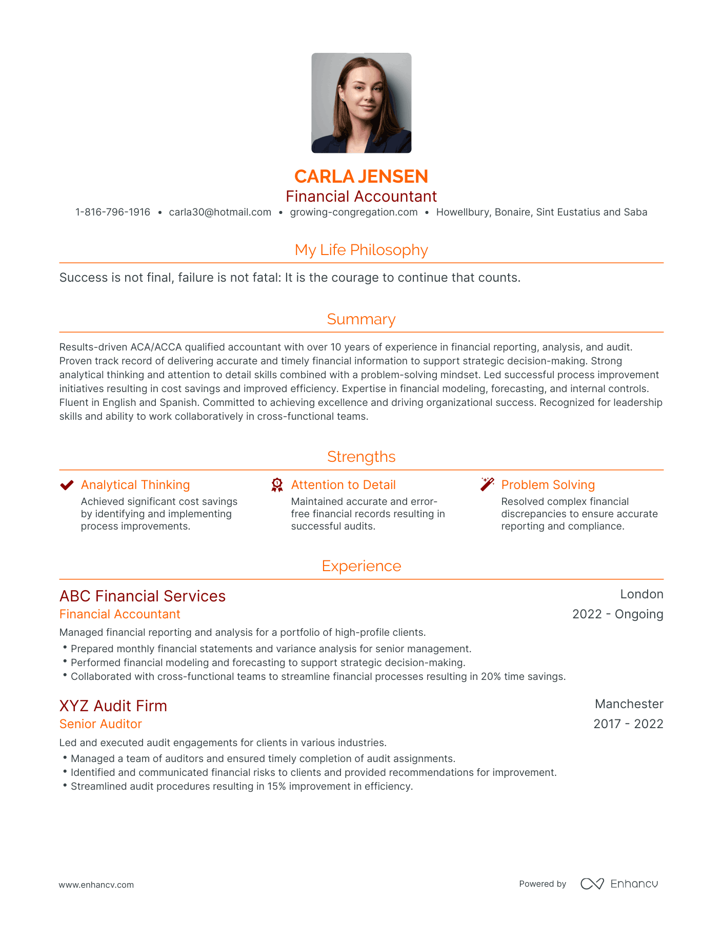 Modern Financial Accountant Resume Example