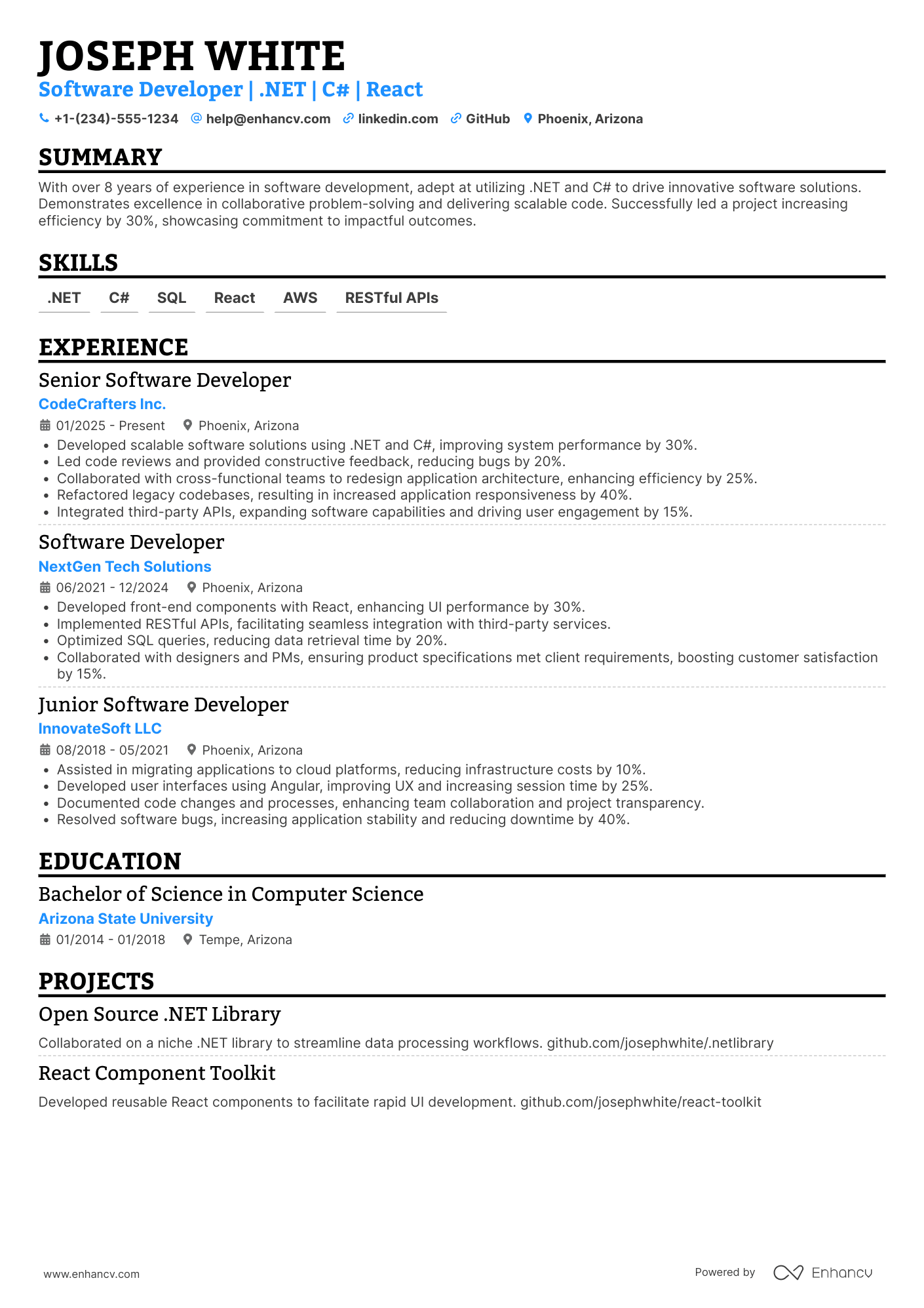 Developer resume example