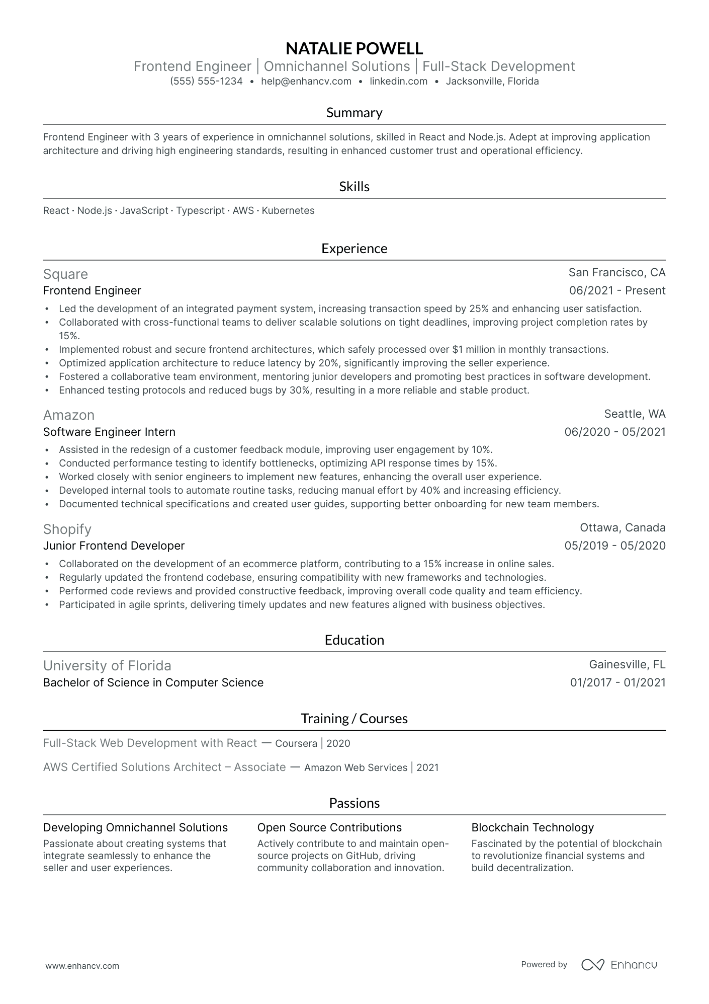 Software Developer Team Lead resume example