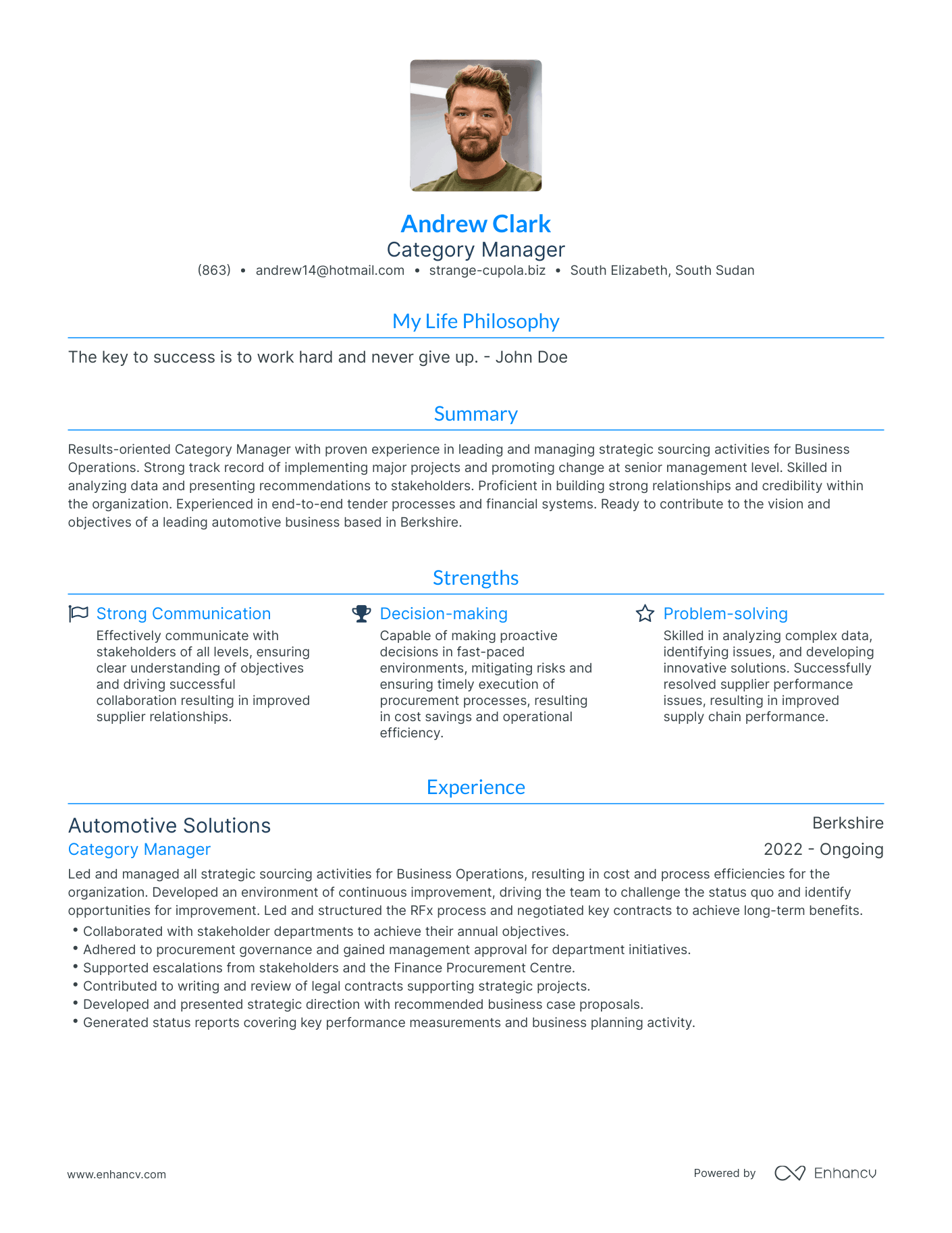 Modern Category Manager Resume Example