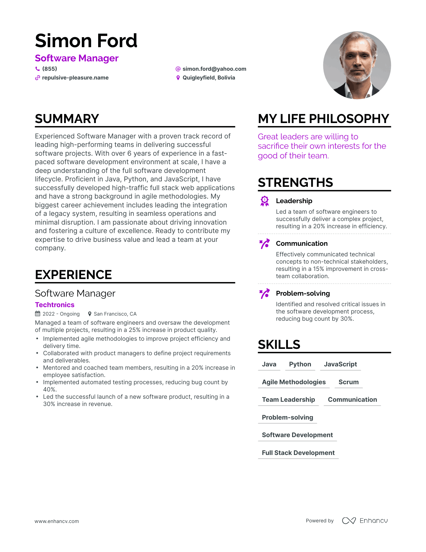 Software Manager resume example