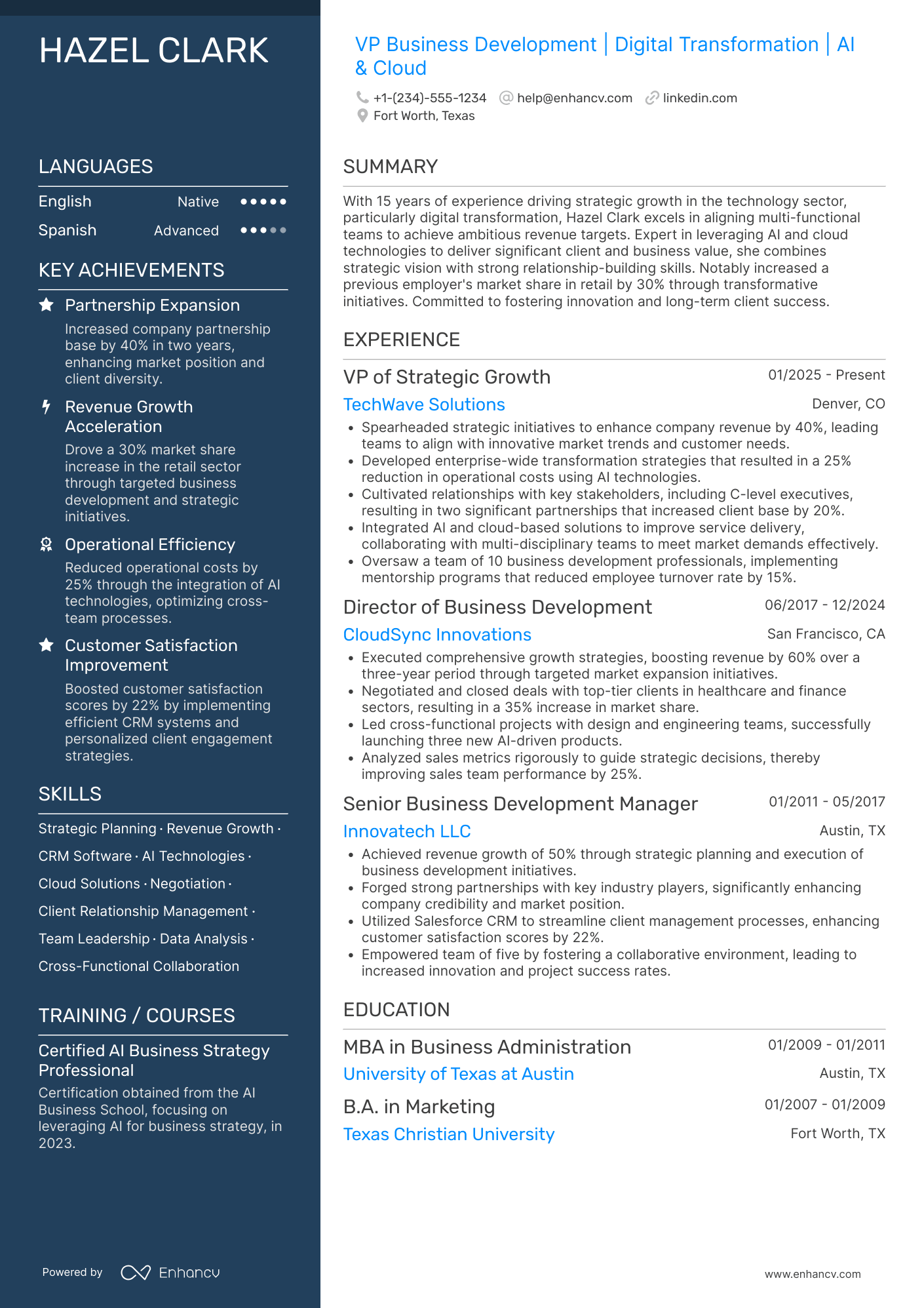 VP Business Development resume example