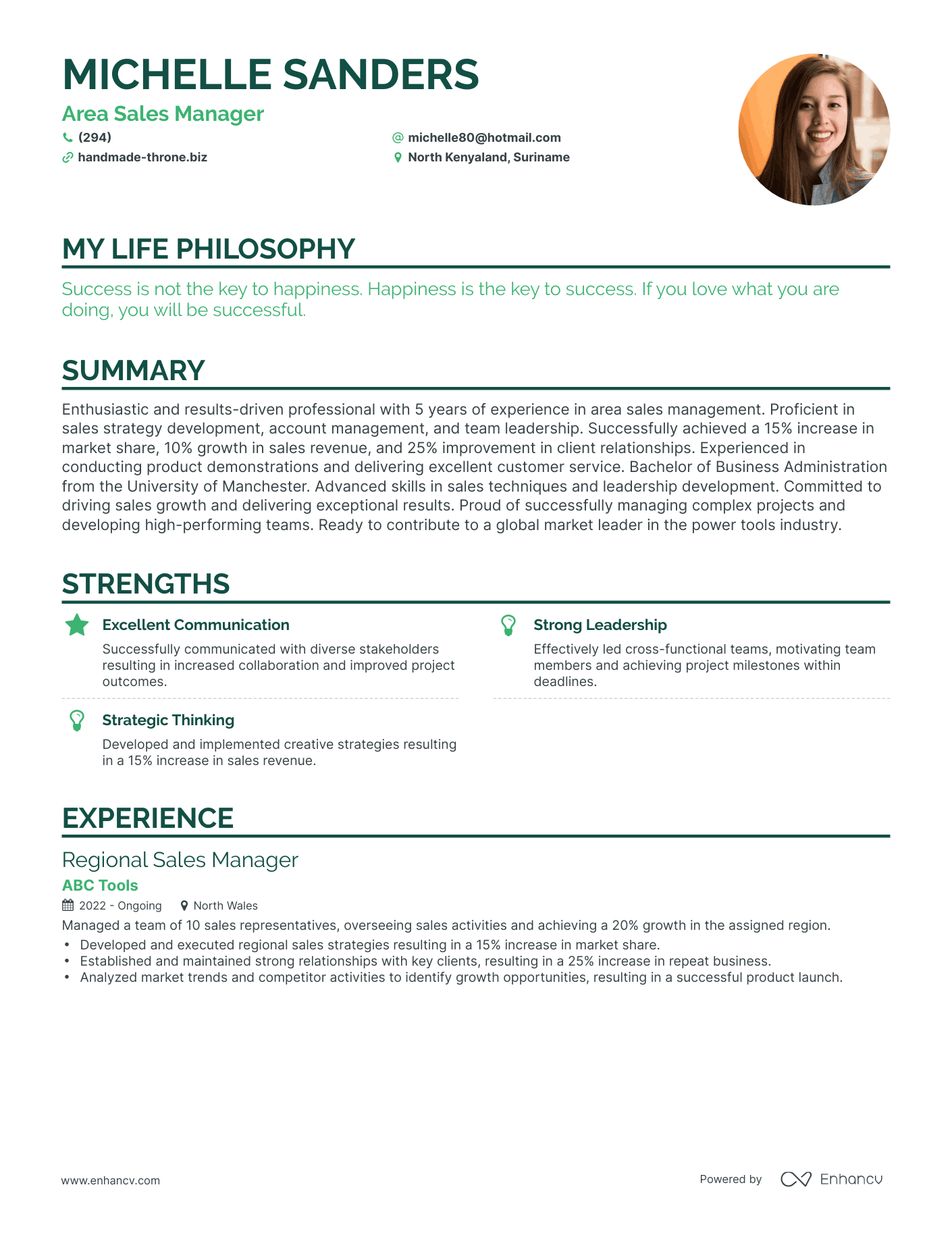Creative Area Sales Manager Resume Example