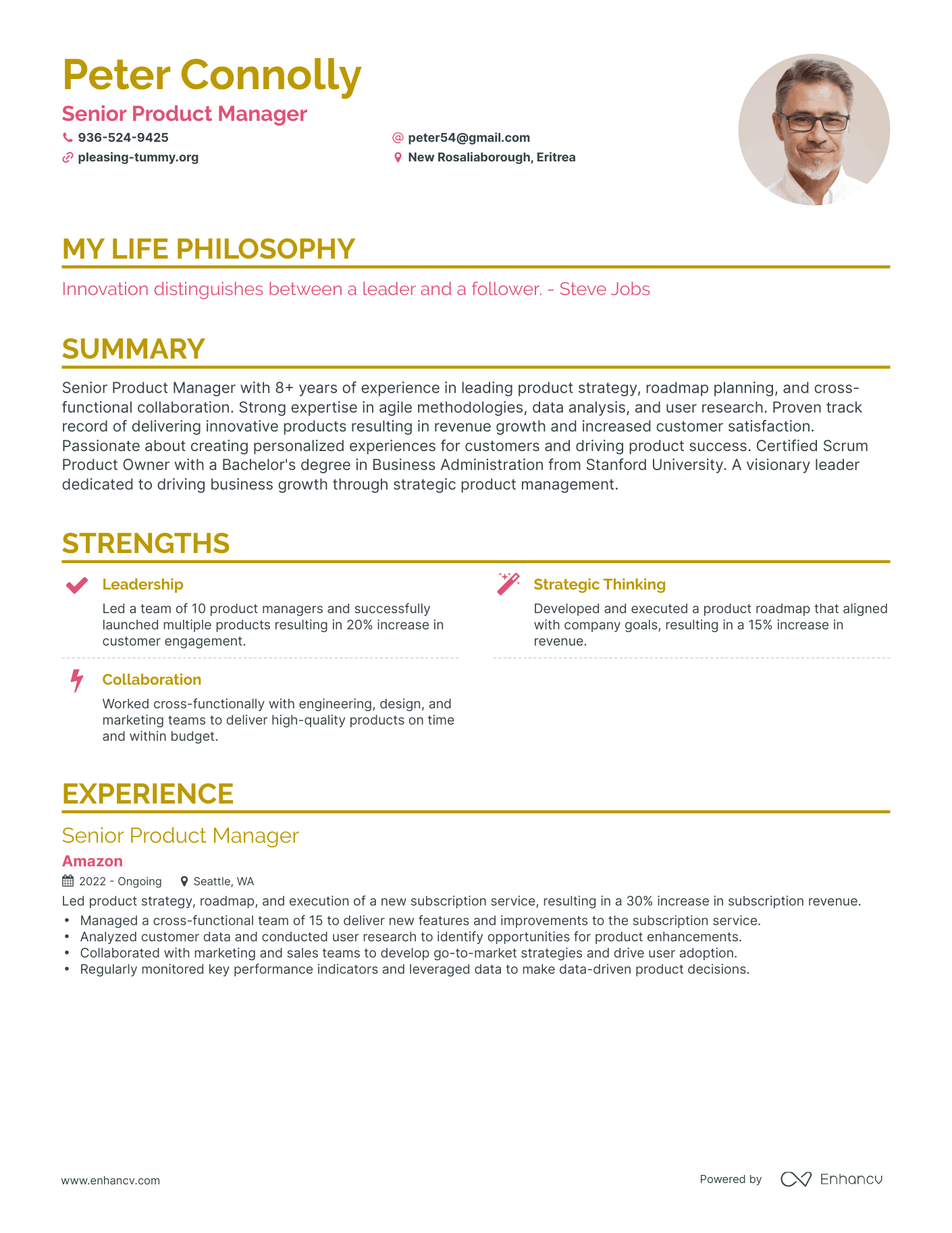 Creative Senior Product Manager Resume Example