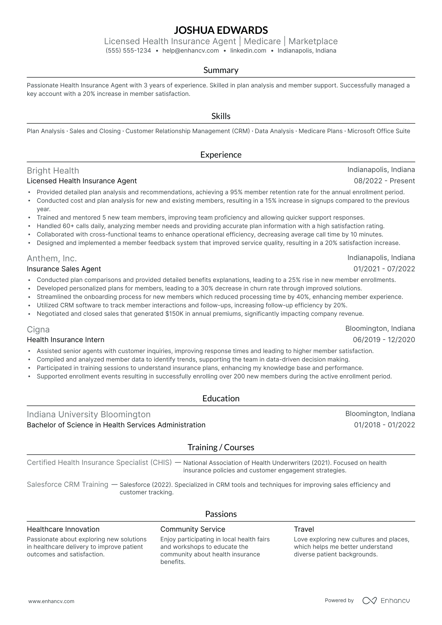 Health Insurance Agent resume example