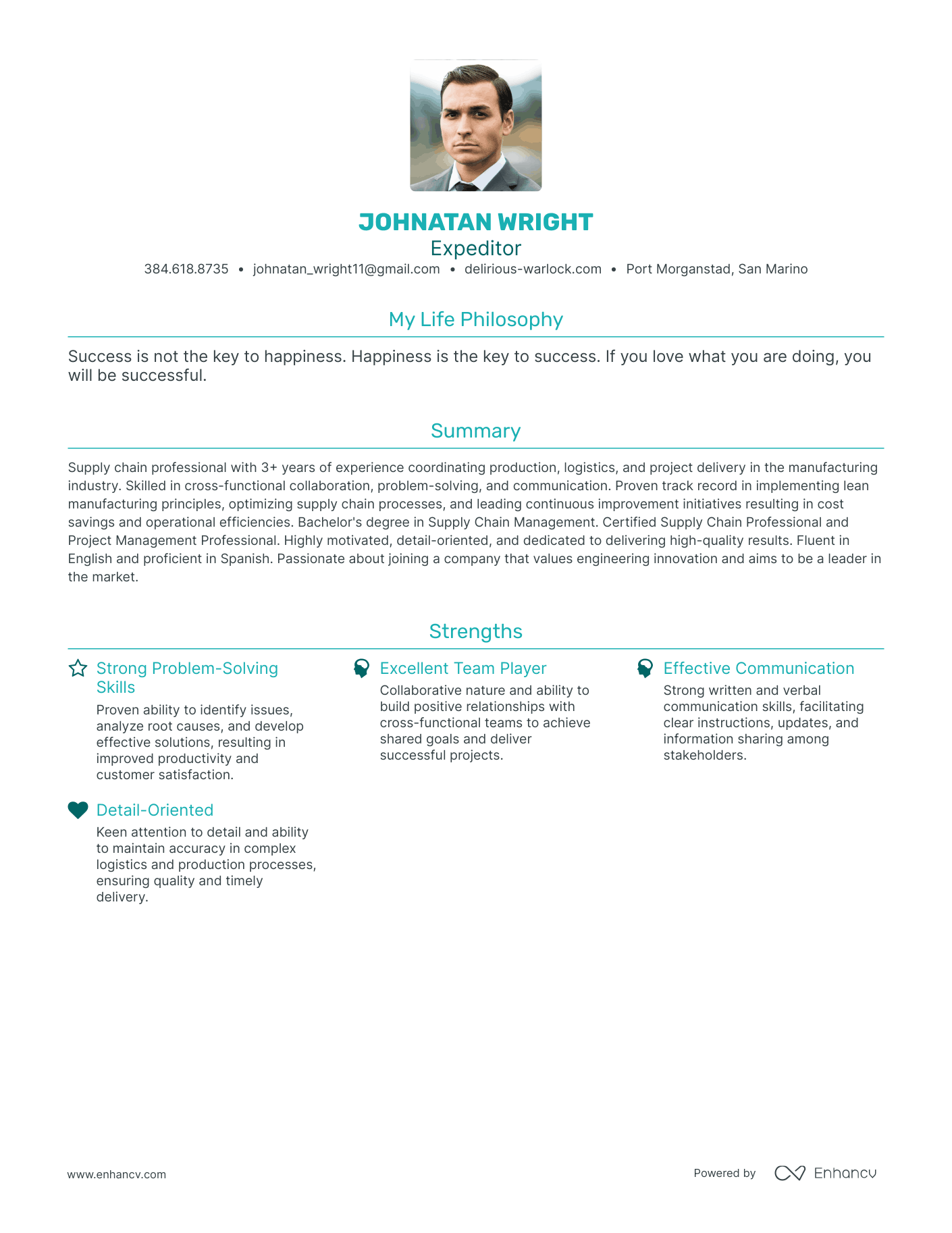 Modern Expeditor Resume Example