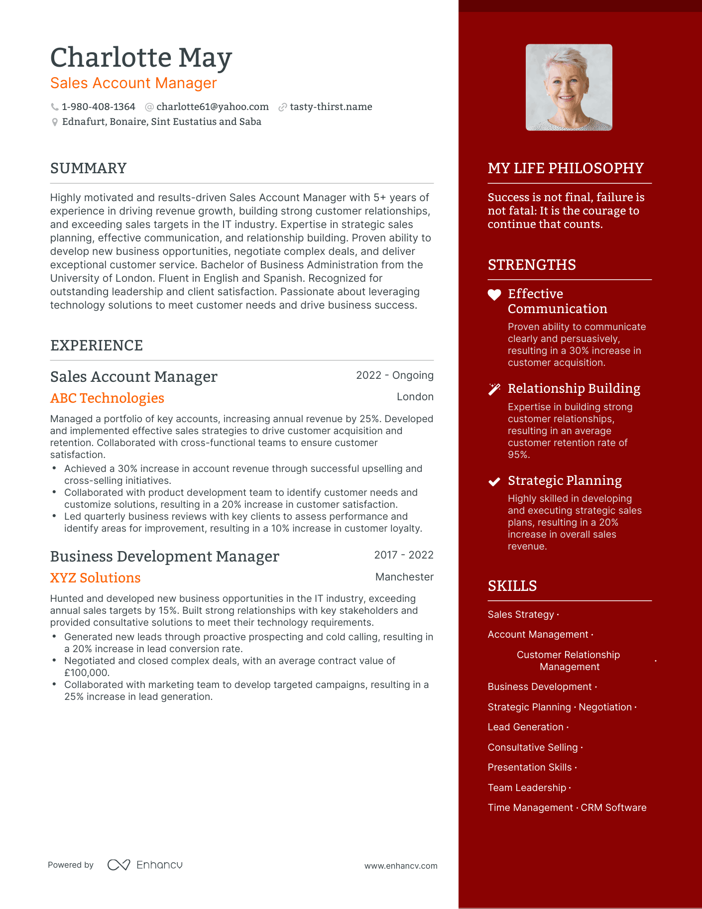 Sales Account Manager resume example