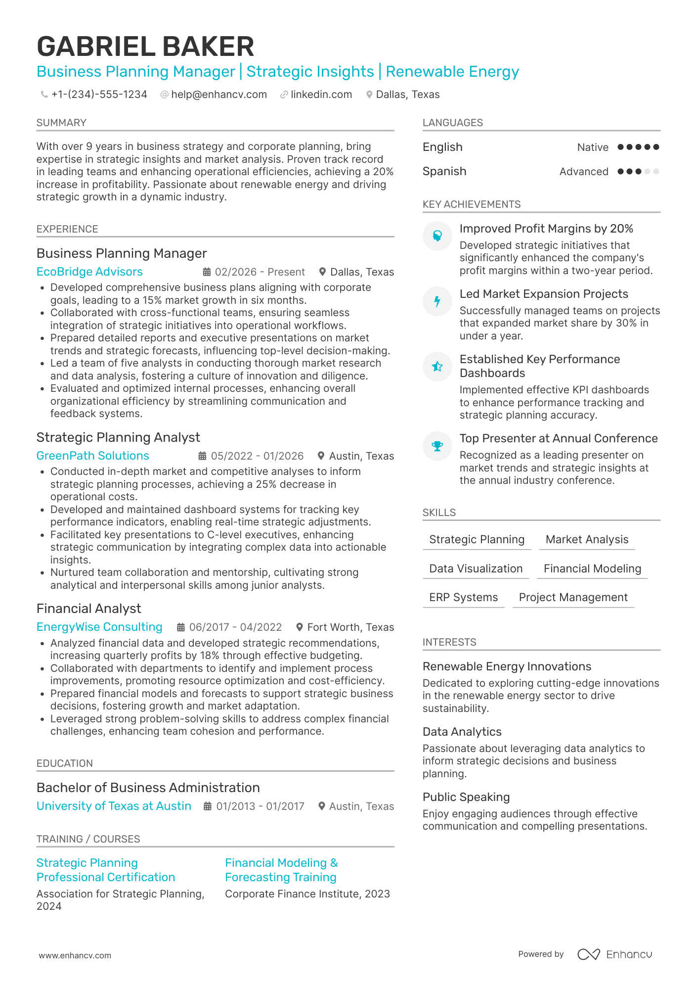 Business Planning Manager resume example