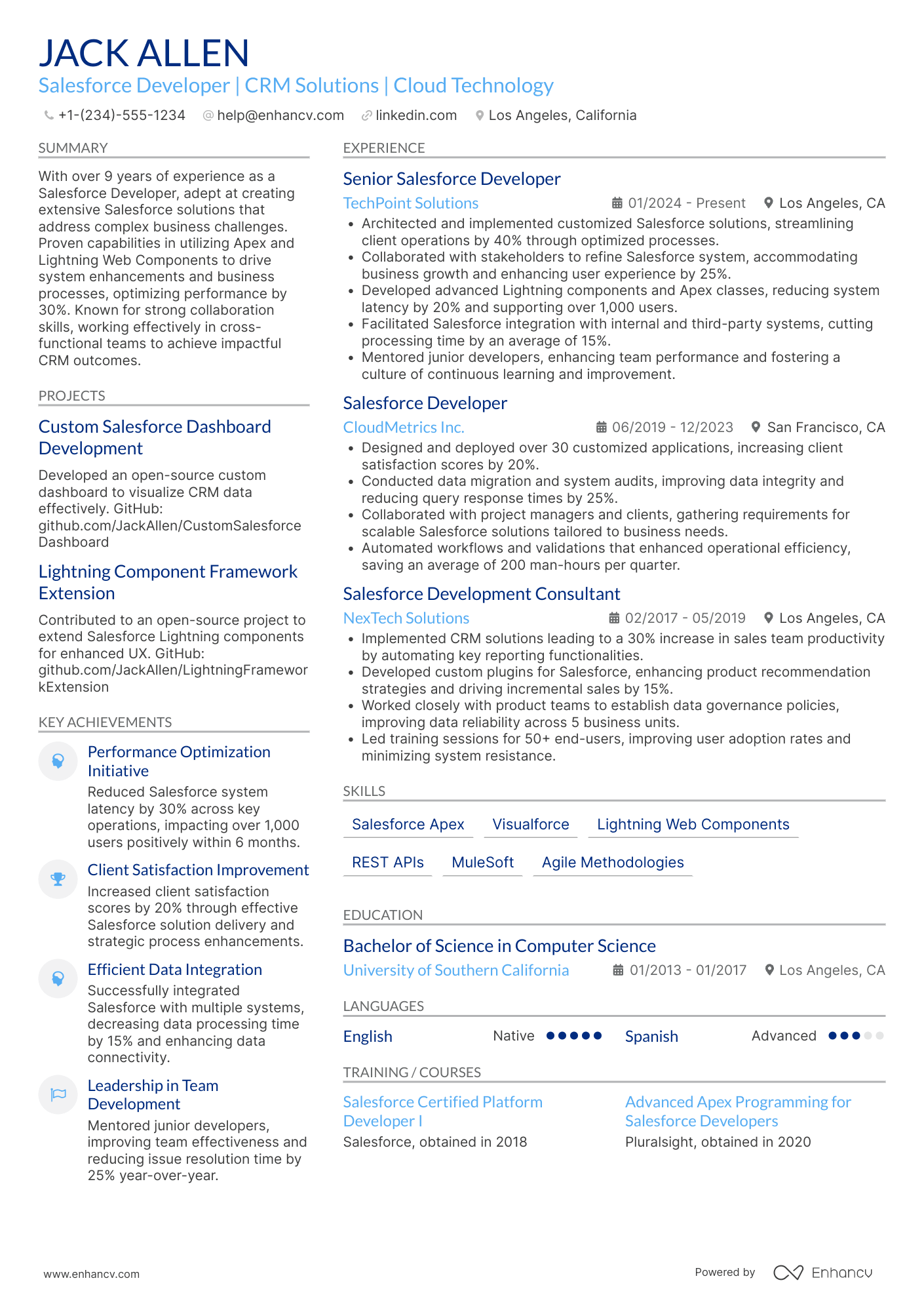 Salesforce Developer resume example