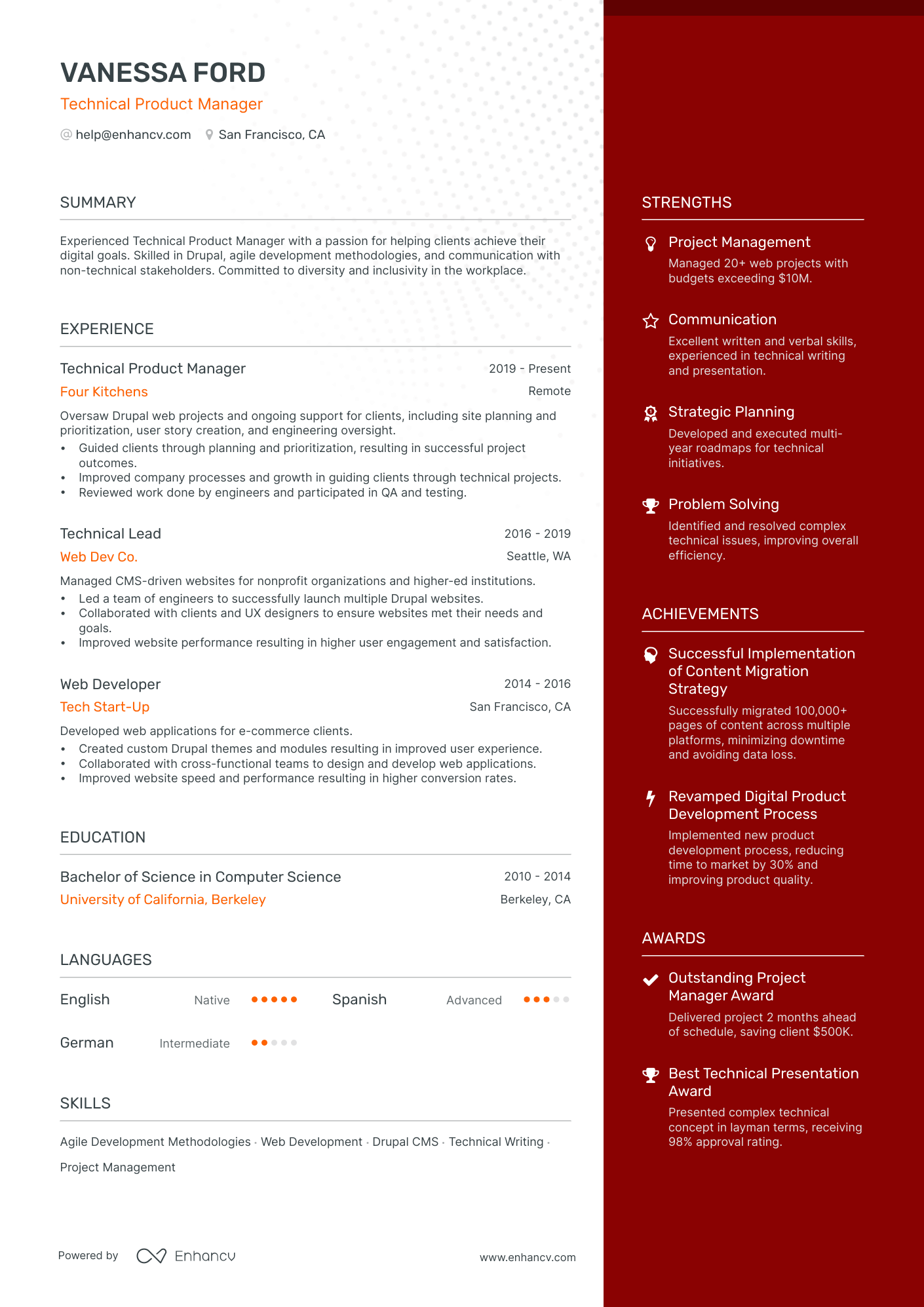 Technical Project Manager resume example
