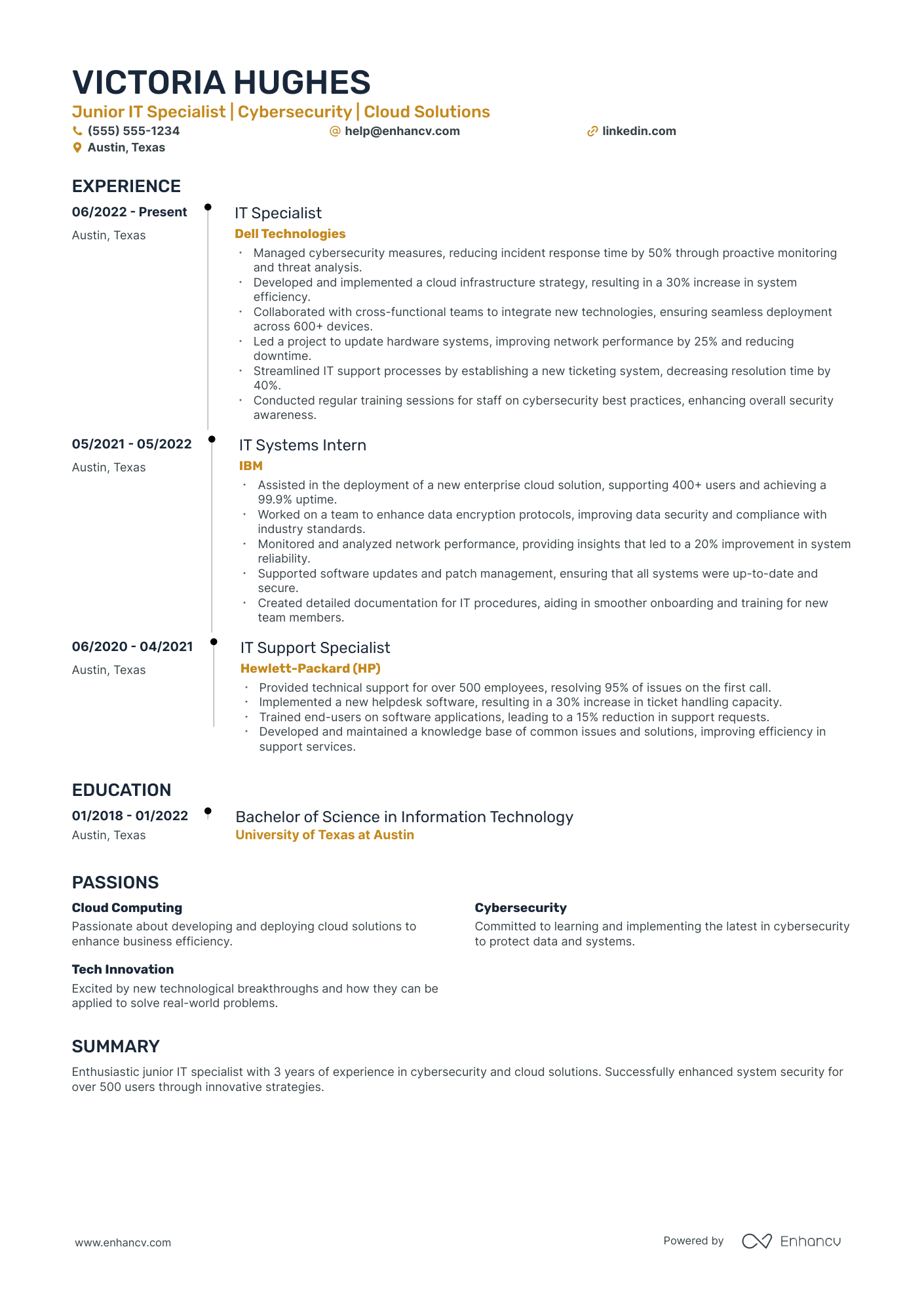 Deputy Chief Information Officer resume example