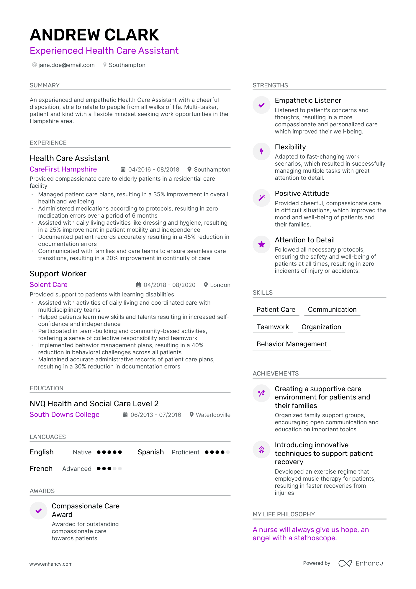 care assistant resume example