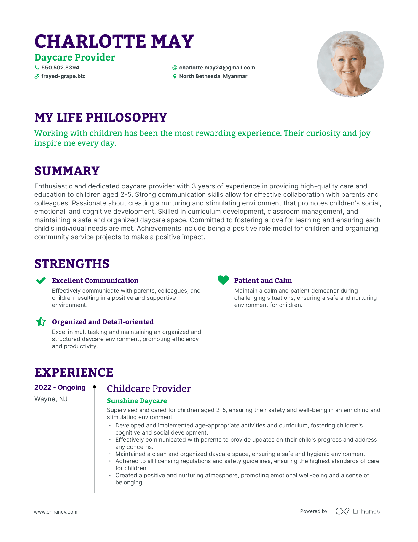 Creative Daycare Provider Resume Example
