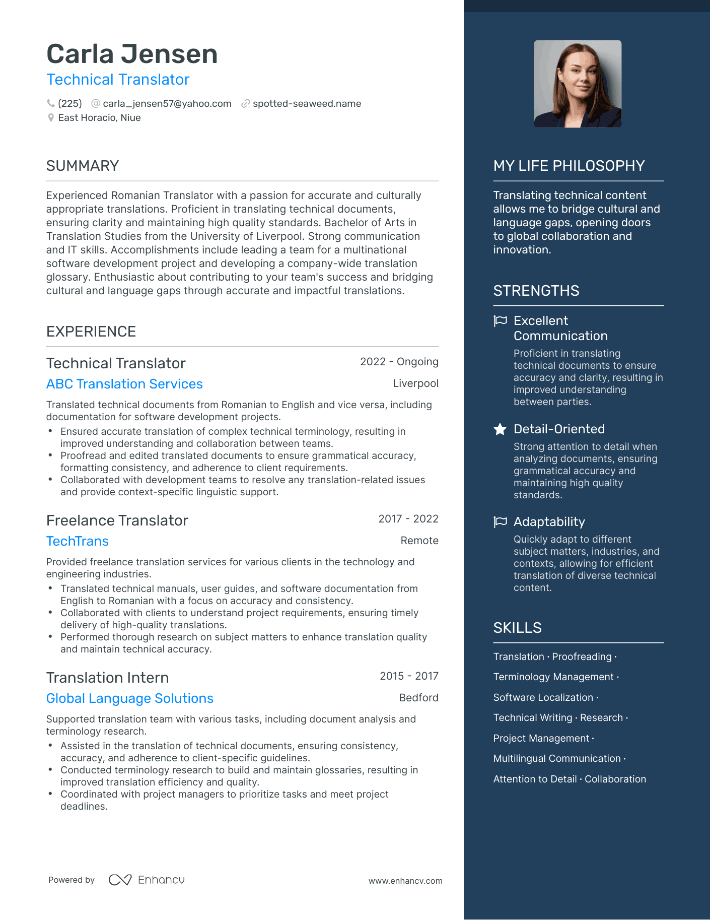 Technical Translator resume example