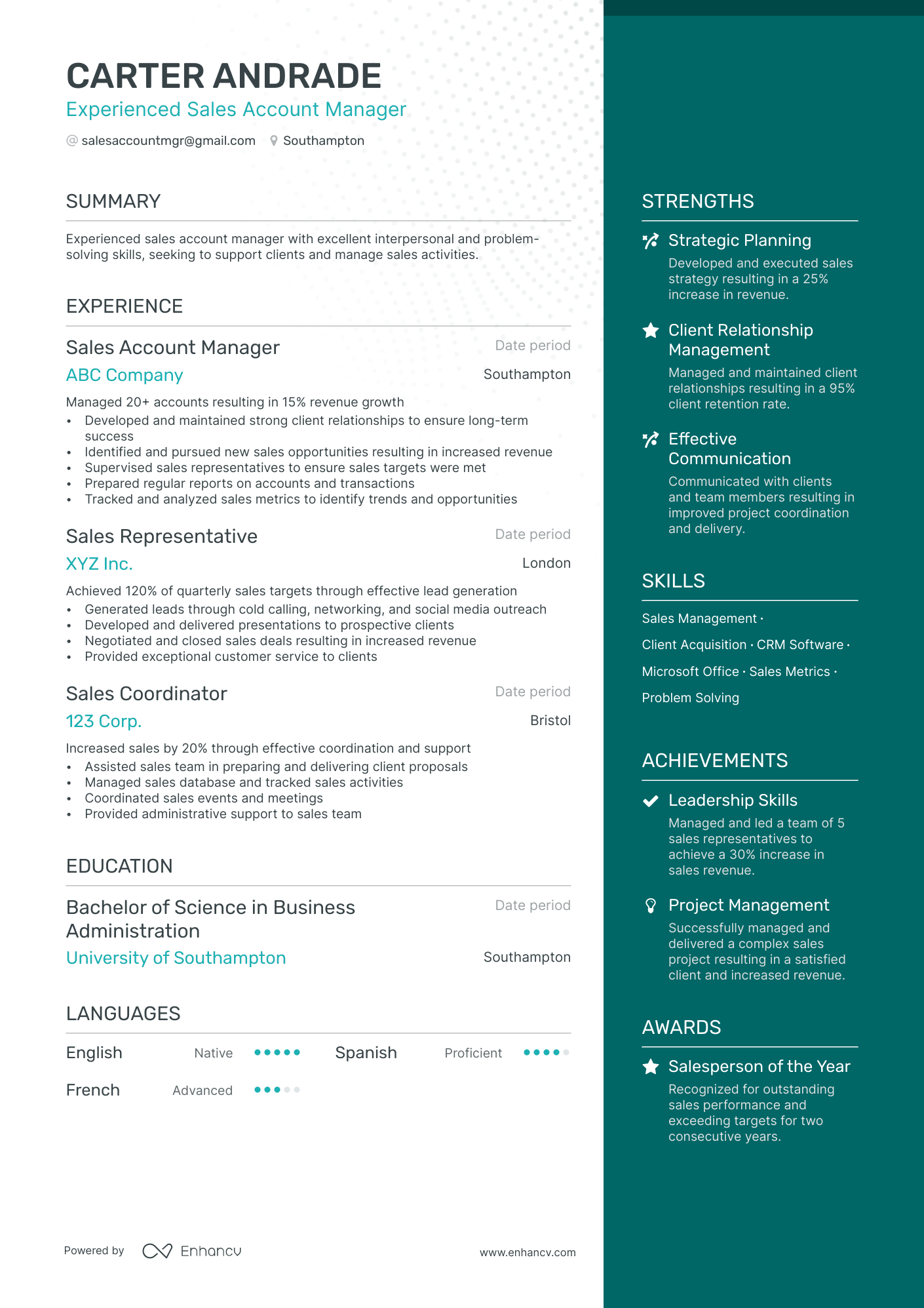 Sales Account Manager resume example