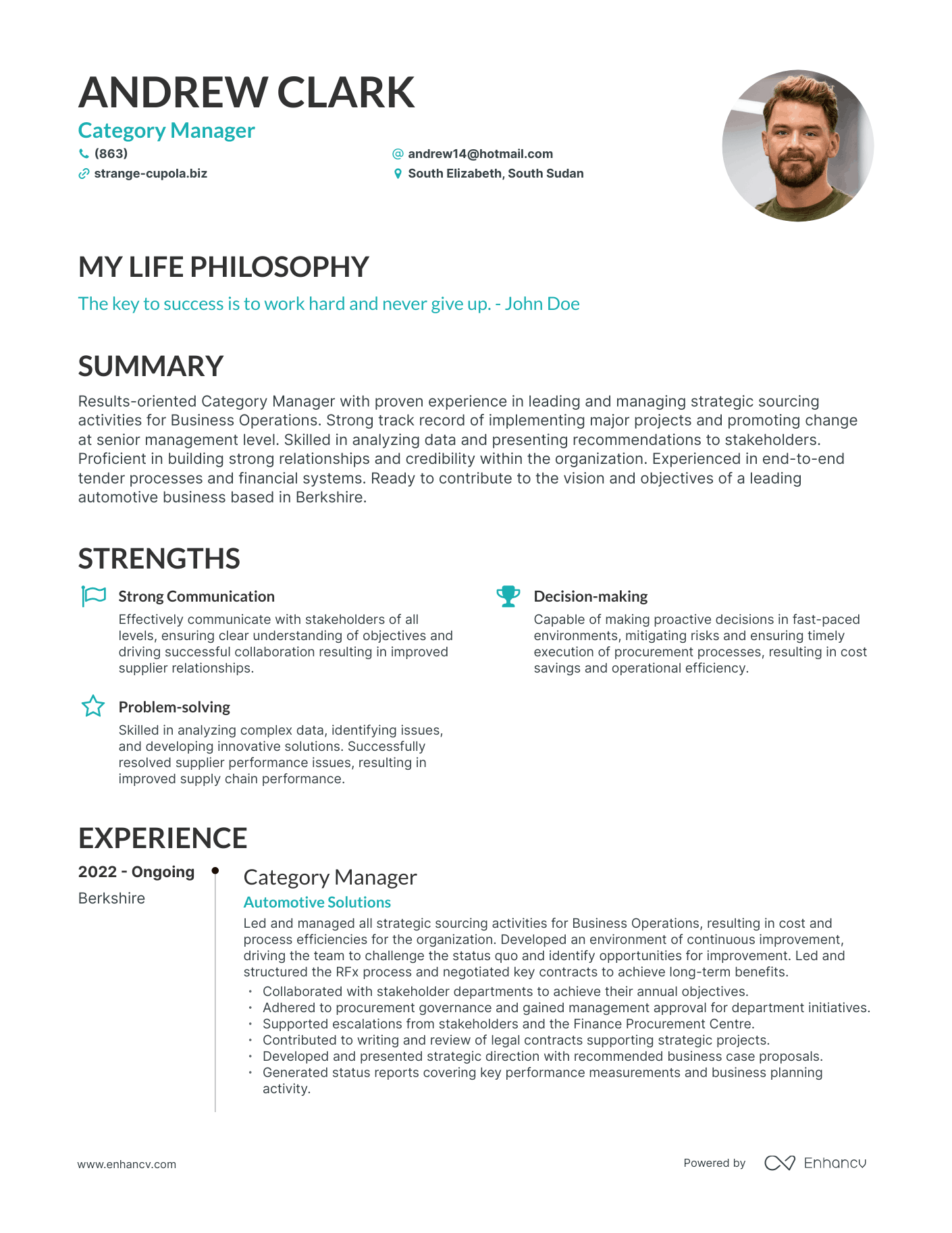 Creative Category Manager Resume Example