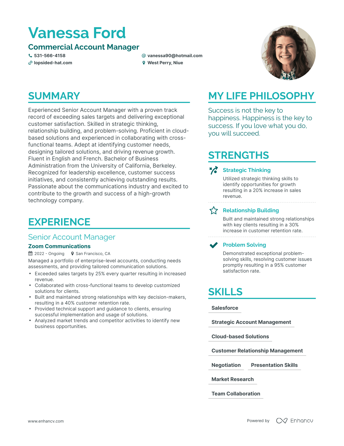 Modern Commercial Account Manager Resume Example