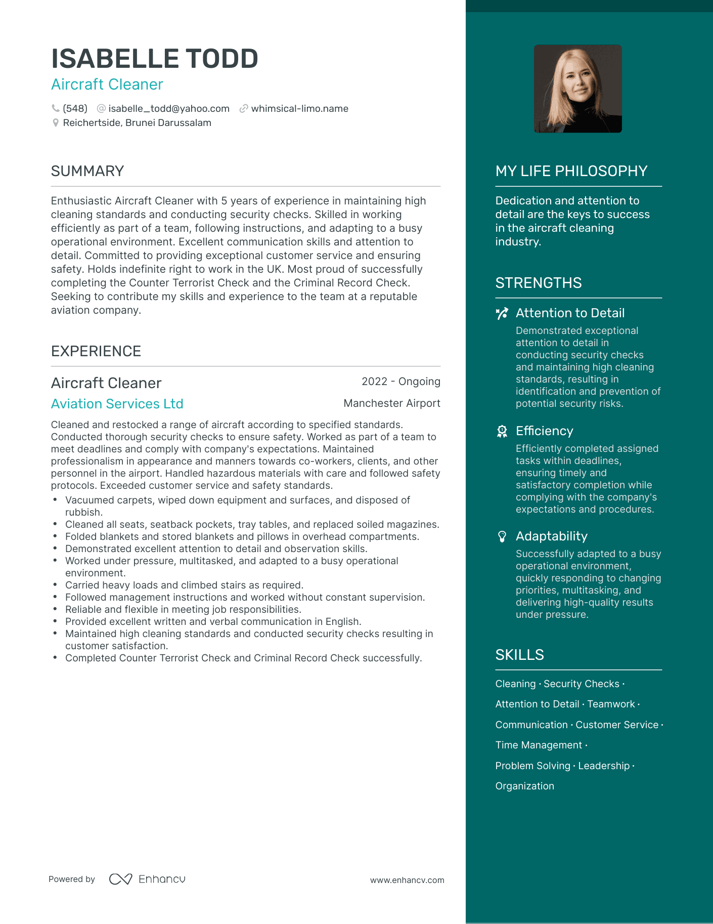 Modern Aircraft Cleaner Resume Example