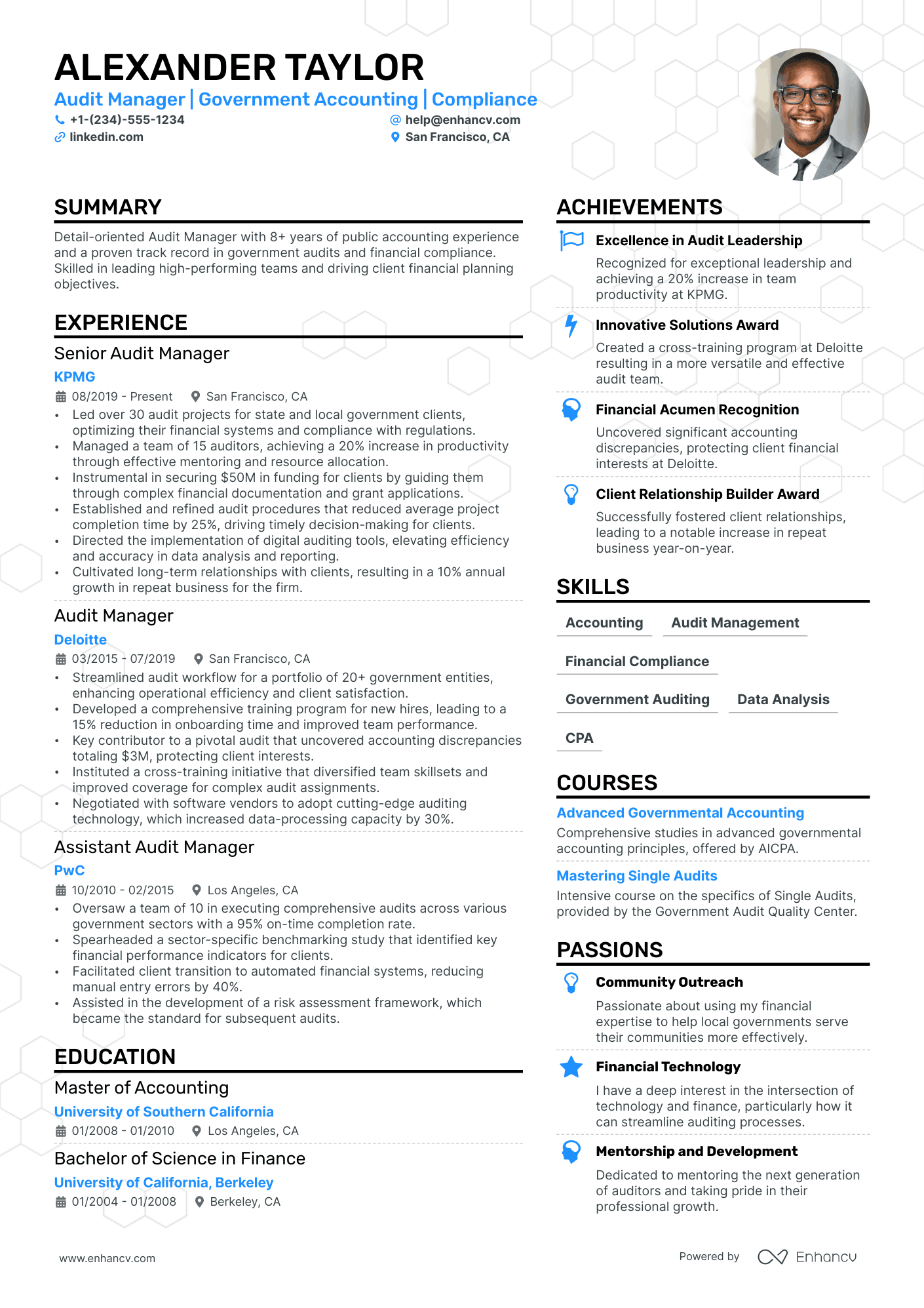 Audit Director resume example